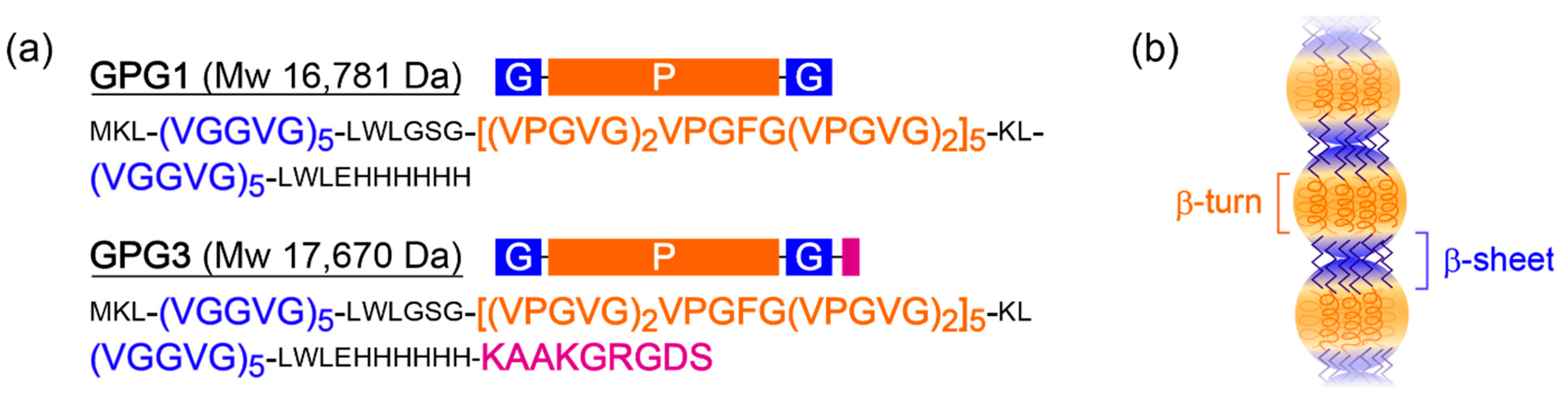 Ijms 22 04104 g001 Ijms 22 04104 g001