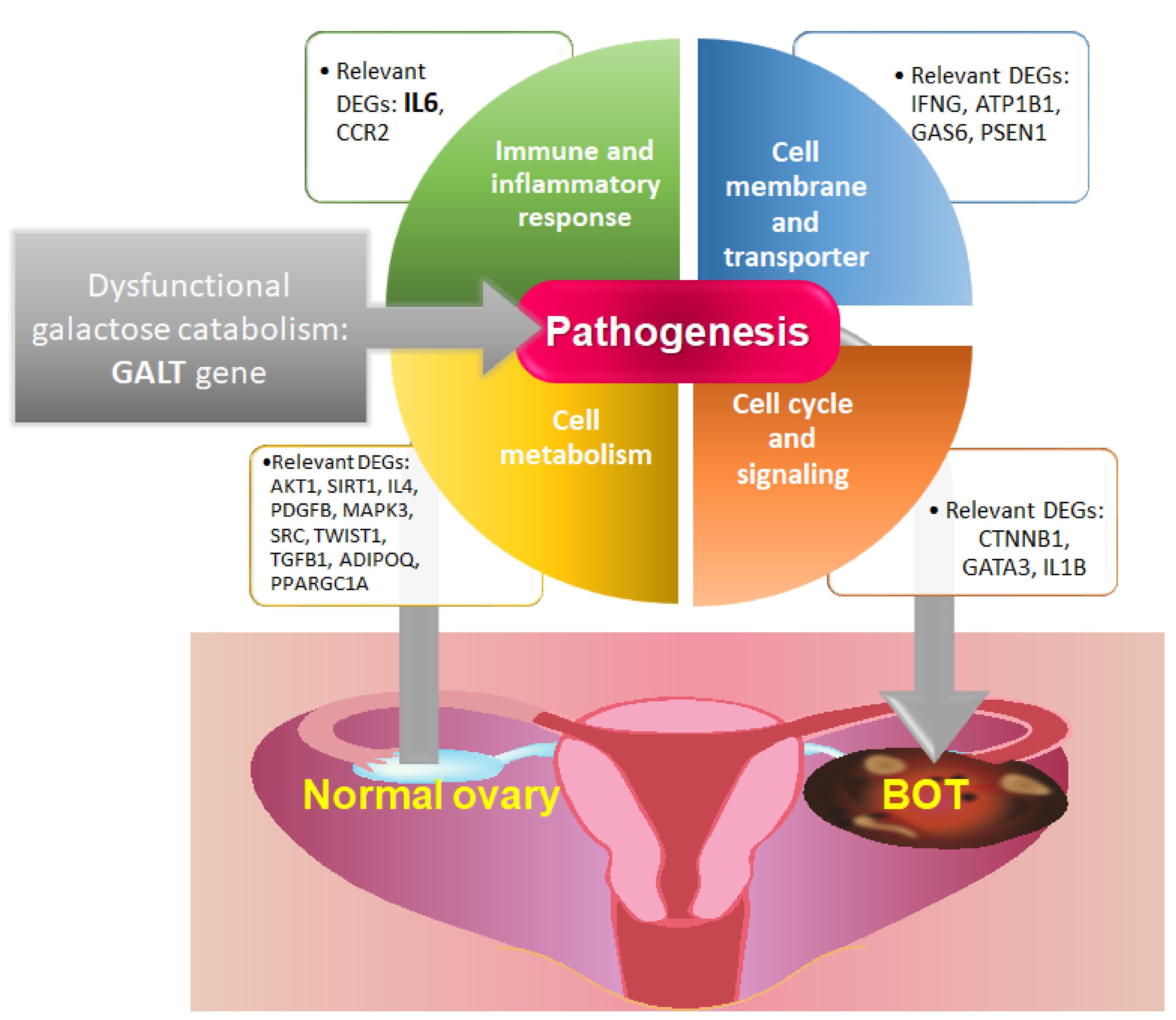 Ijms 22 04105 g009 Ijms 22 04105 g009