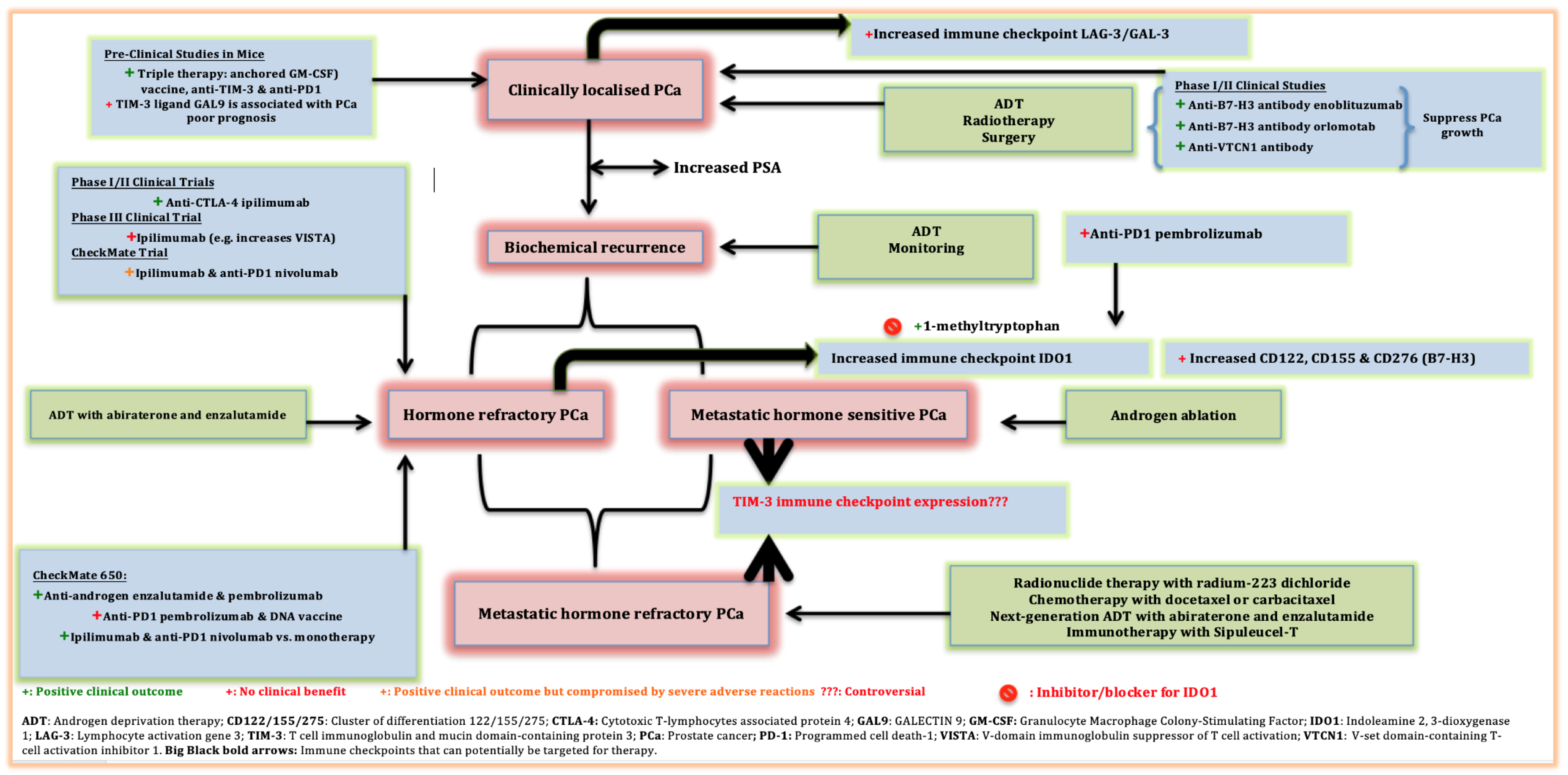 Prostatitis CNS- ben