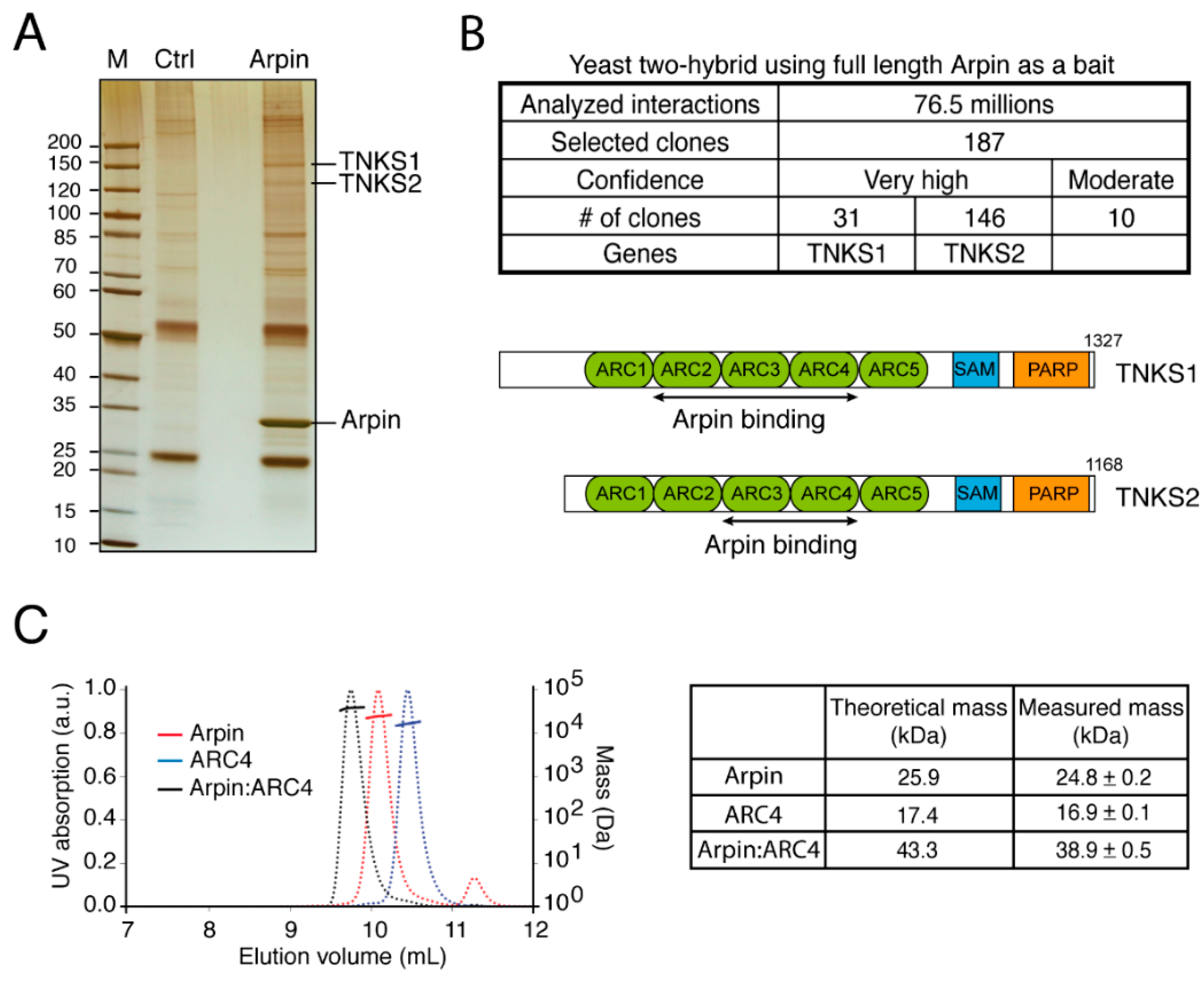 Ijms 22 04115 g001 Ijms 22 04115 g001