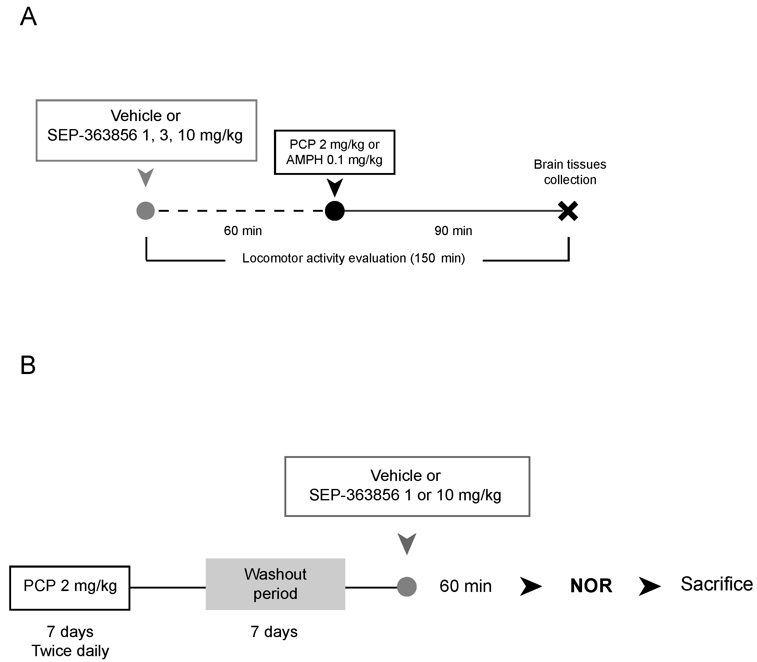 Ijms 22 04119 g008 Ijms 22 04119 g008