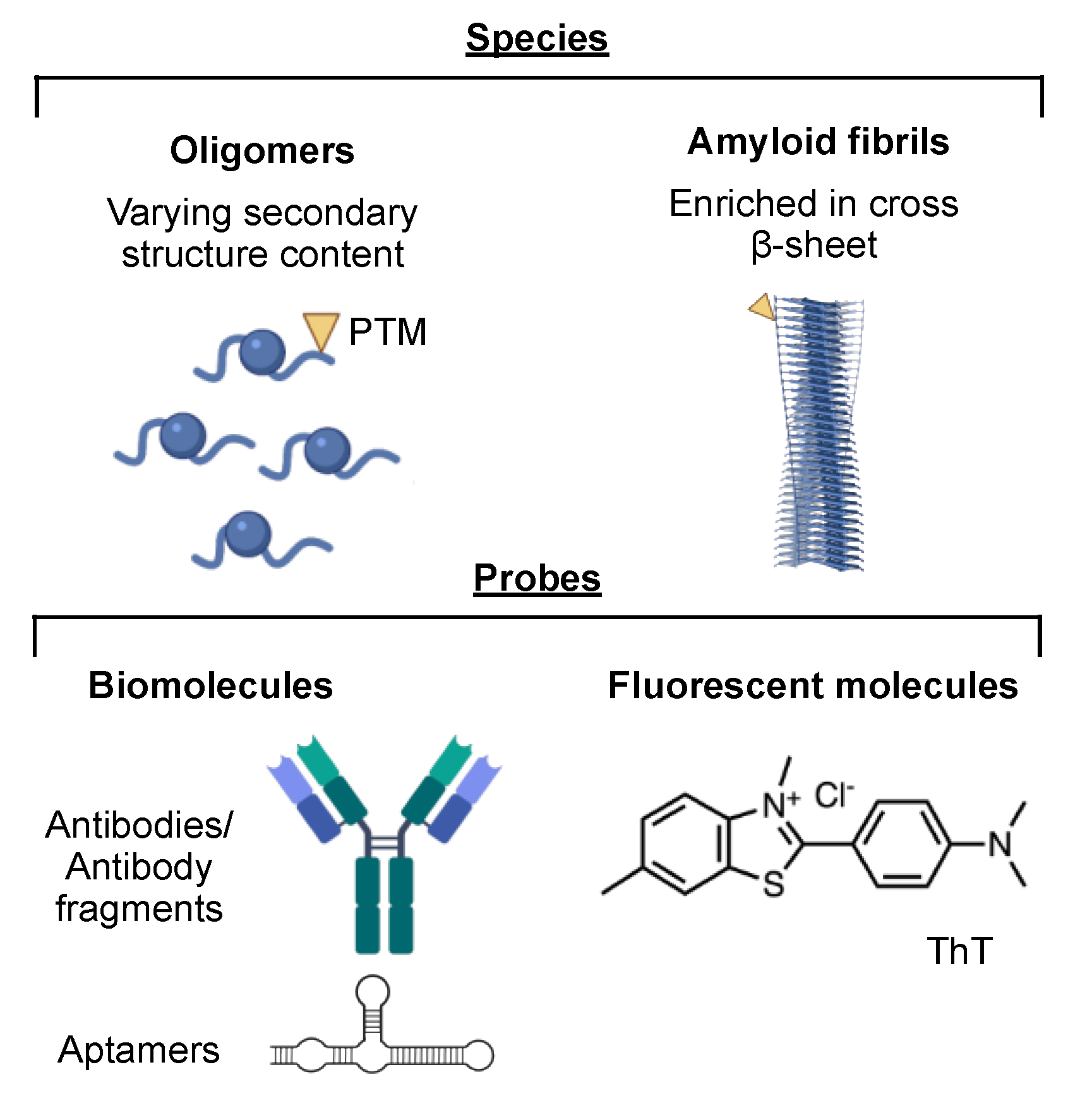 Ijms 22 04128 g002 Ijms 22 04128 g002