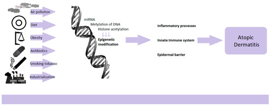 その他 Pathogenesis and Management of Atopic Frontiers | Obesity and the microbiome in atopic dermatitis
