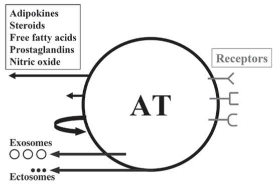 Ijms 22 04137 g003 550