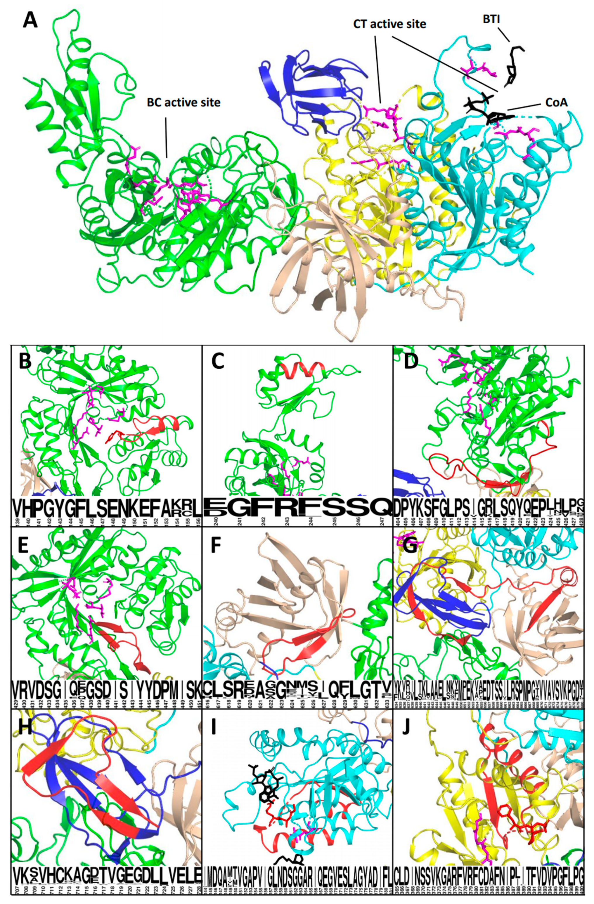 Ijms 22 04154 g002 Ijms 22 04154 g002