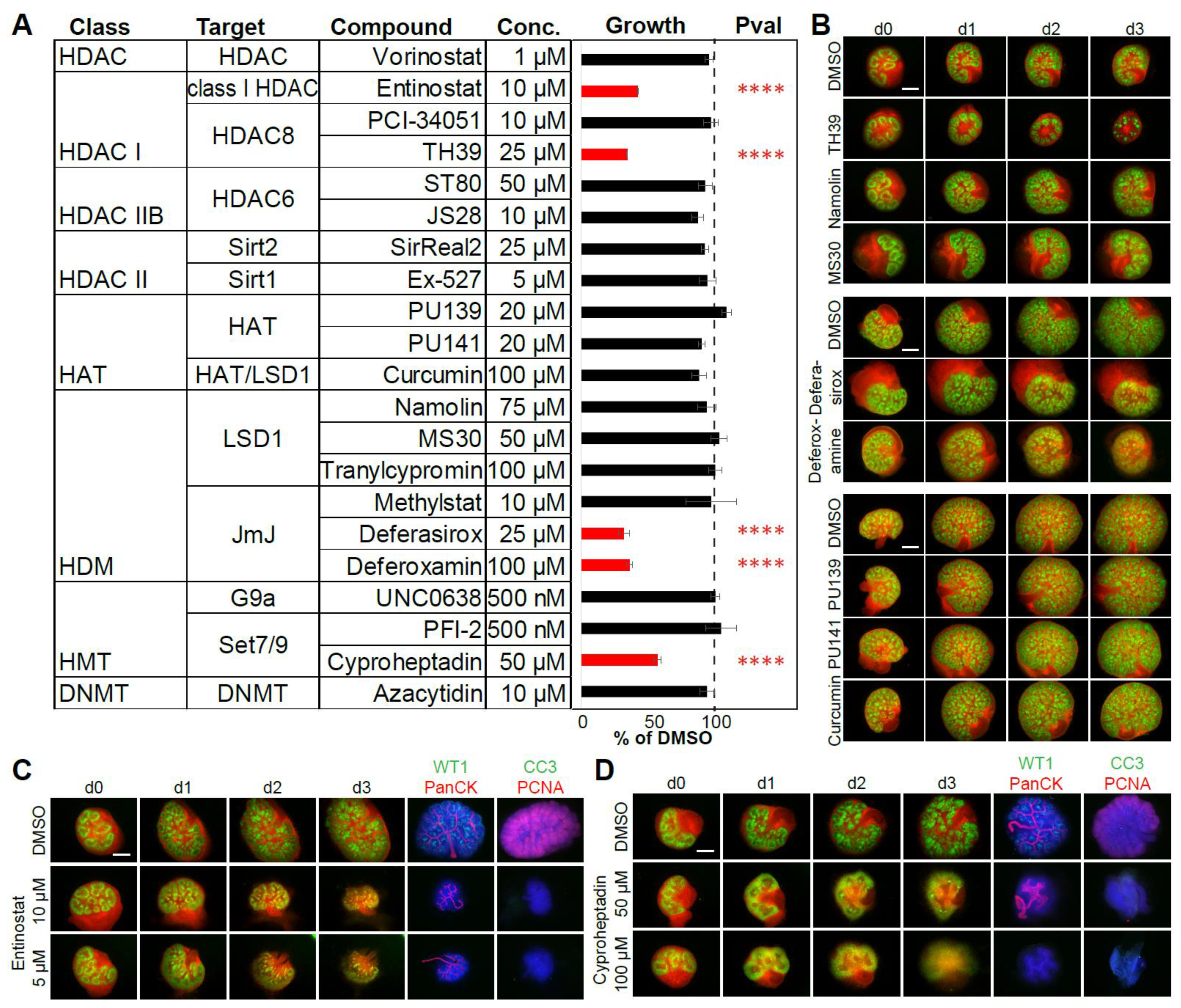 Ijms 22 04157 g004 Ijms 22 04157 g004