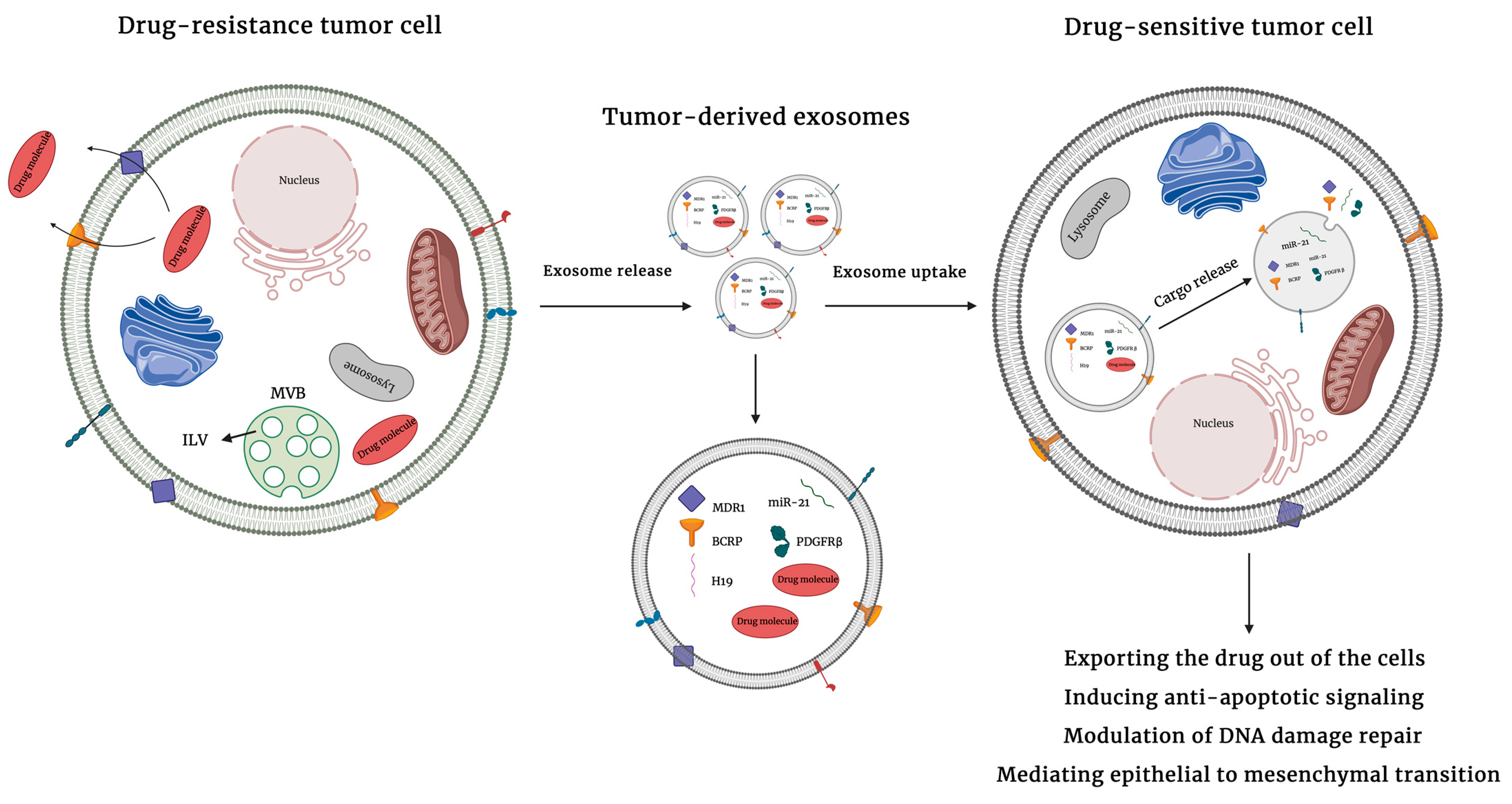 Ijms 22 04166 g001 Ijms 22 04166 g001
