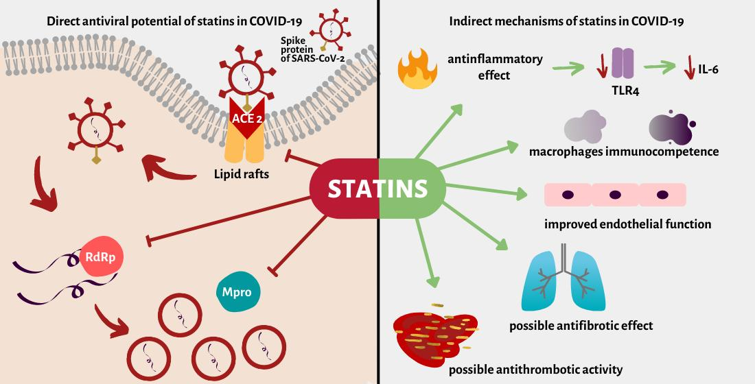 IJMS Free FullText COVID19 Direct and Indirect Mechanisms of