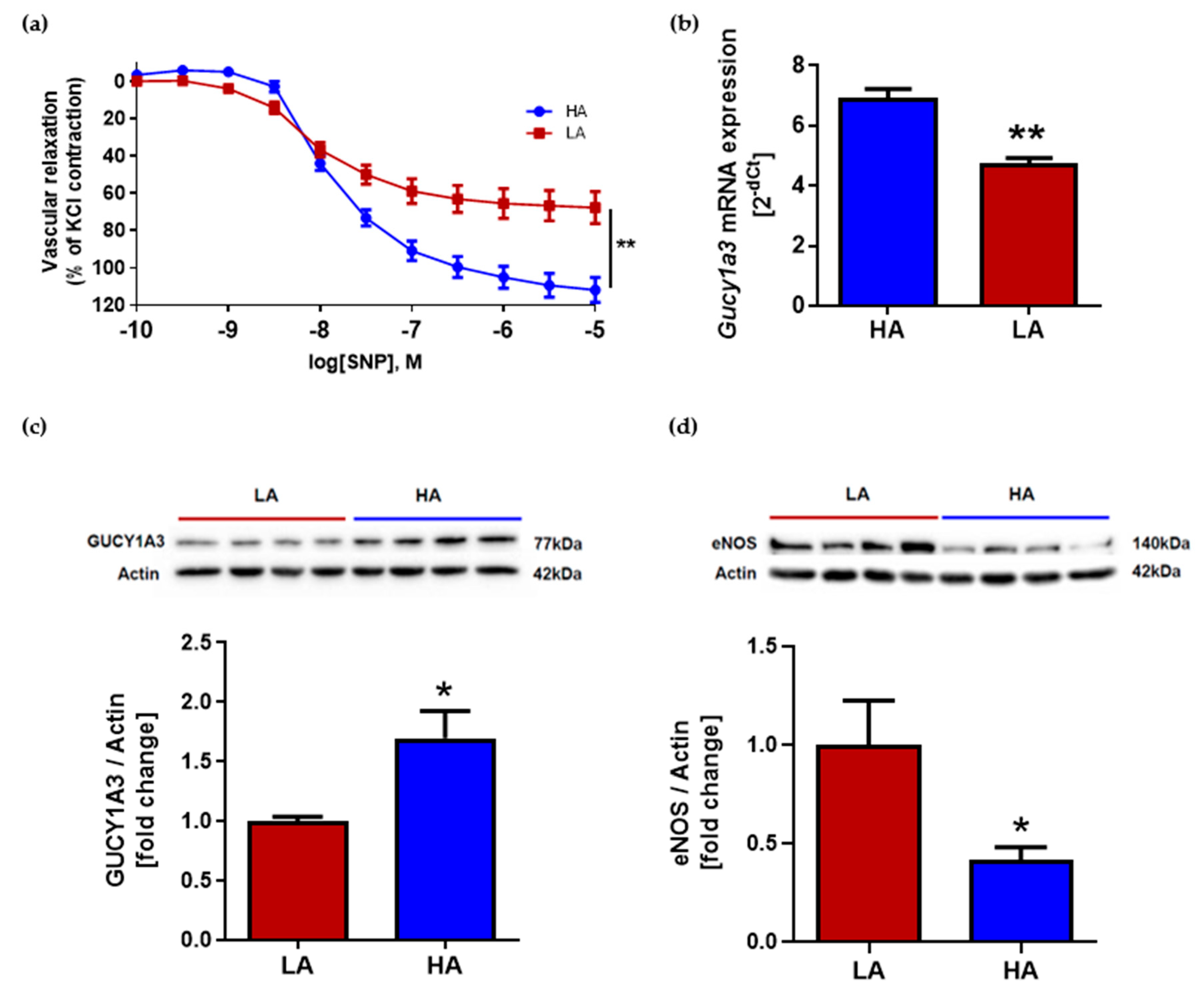Ijms 22 04179 g003 Ijms 22 04179 g003