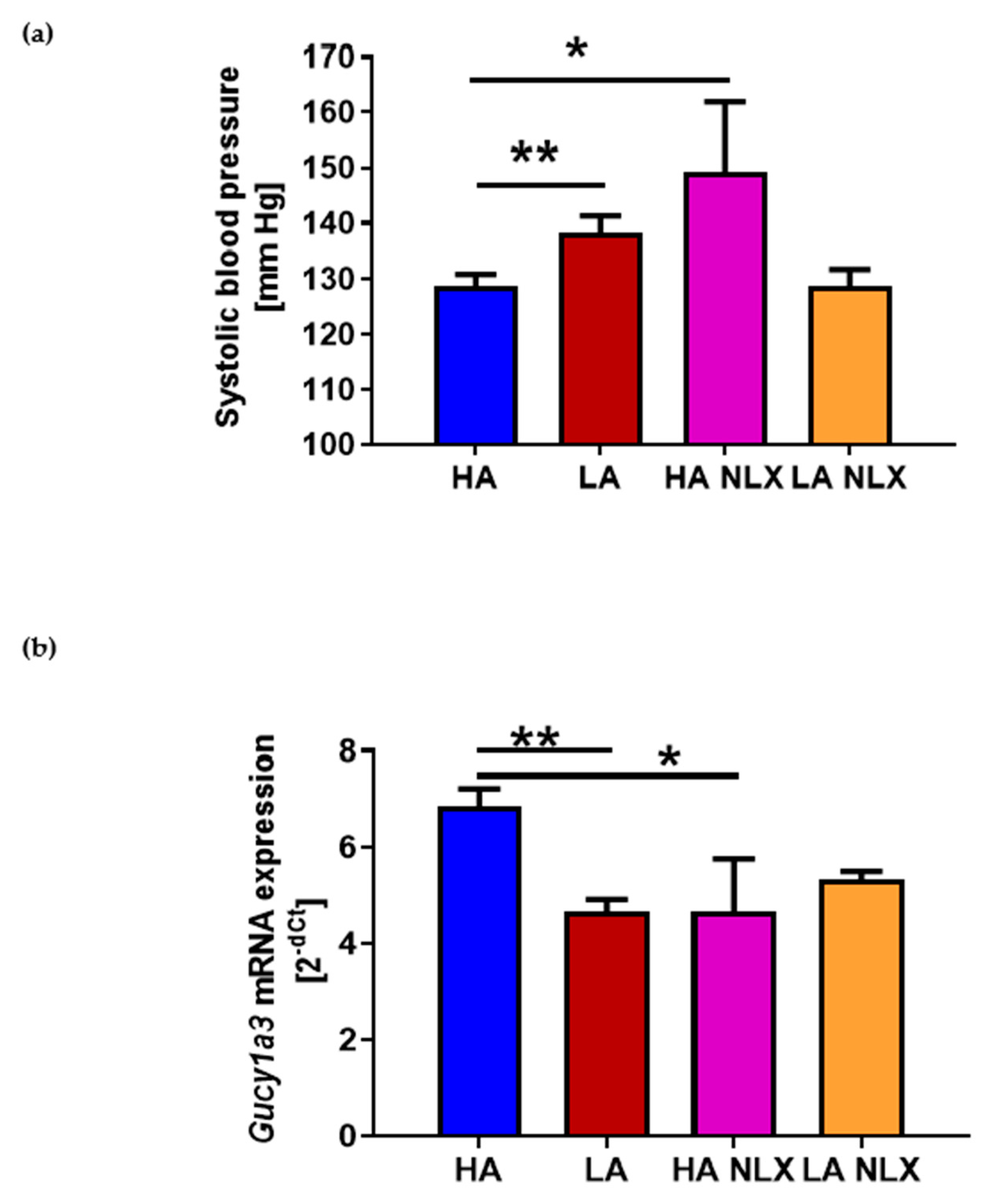 Ijms 22 04179 g004 Ijms 22 04179 g004