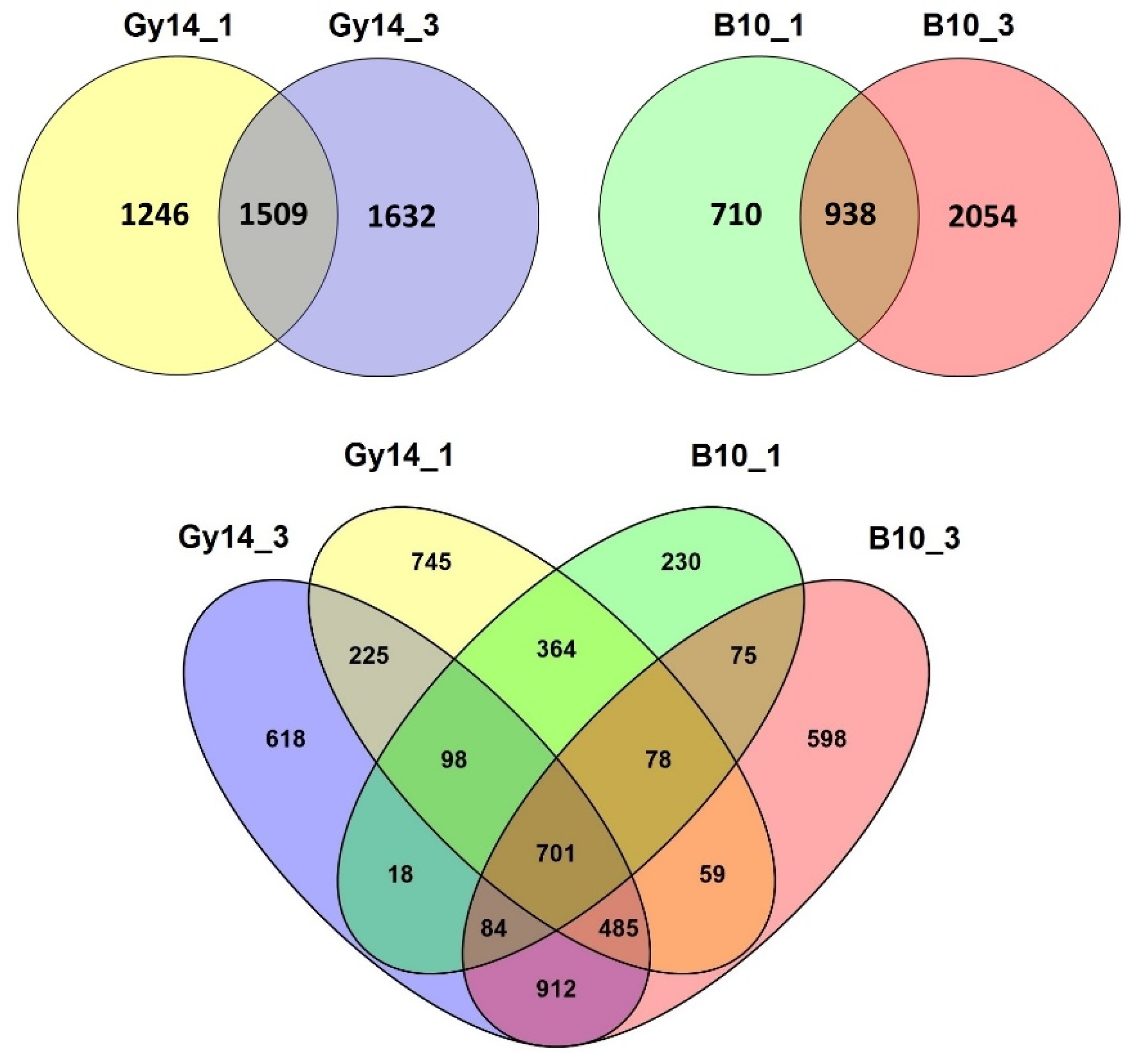 Ijms 22 04192 g004 Ijms 22 04192 g004