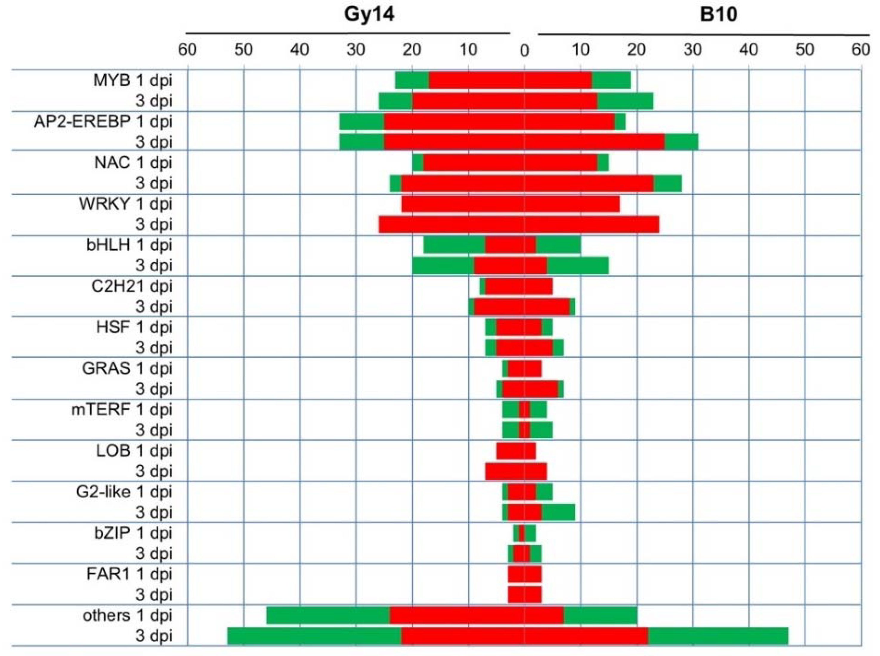 Ijms 22 04192 g007 Ijms 22 04192 g007
