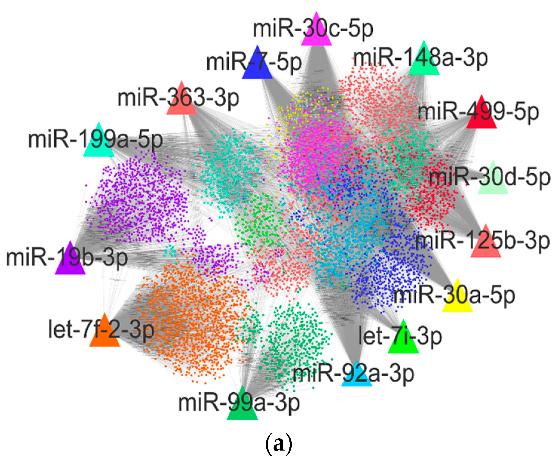 Ijms 22 04204 g003a Ijms 22 04204 g003a