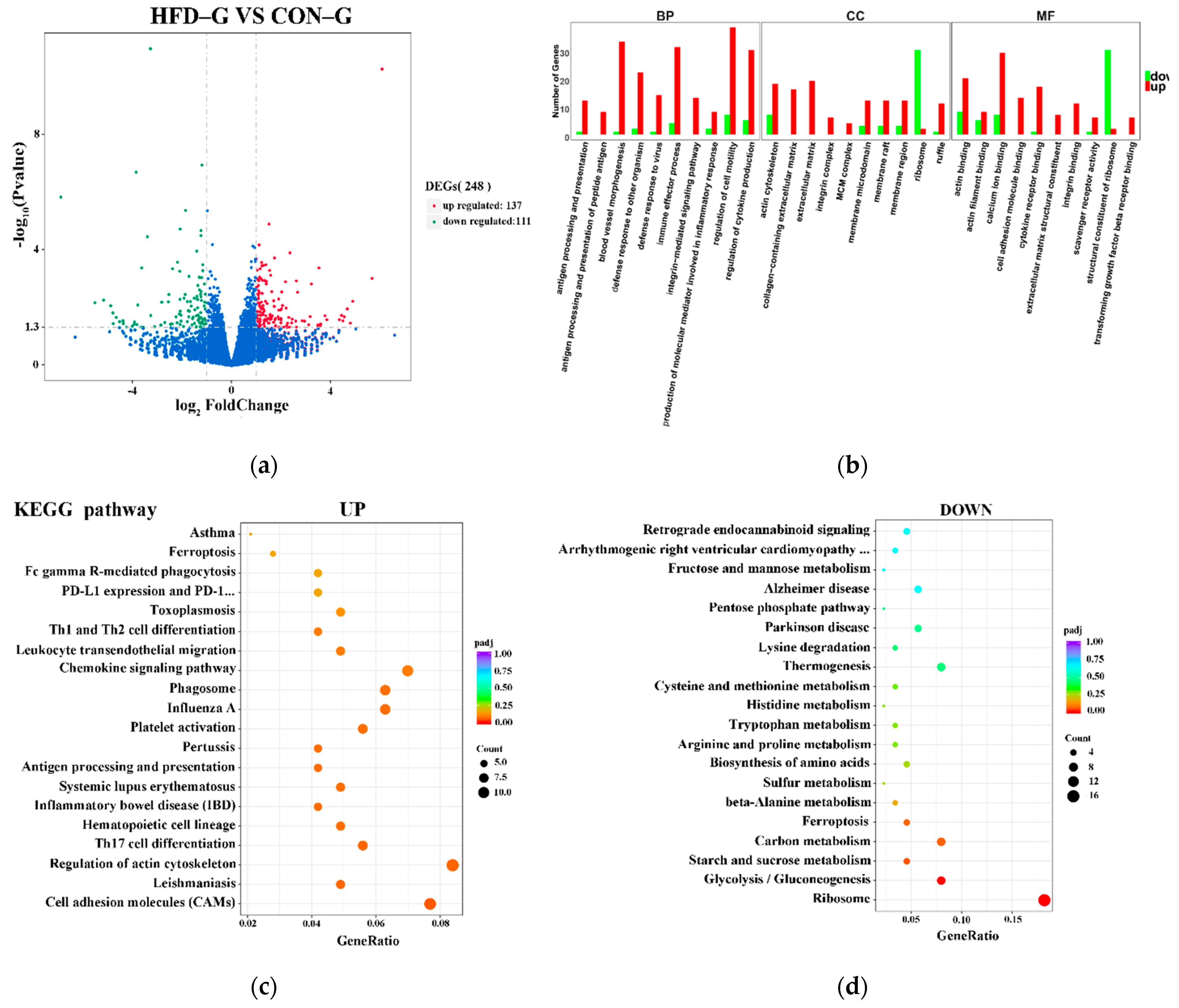 Ijms 22 04204 g004 Ijms 22 04204 g004
