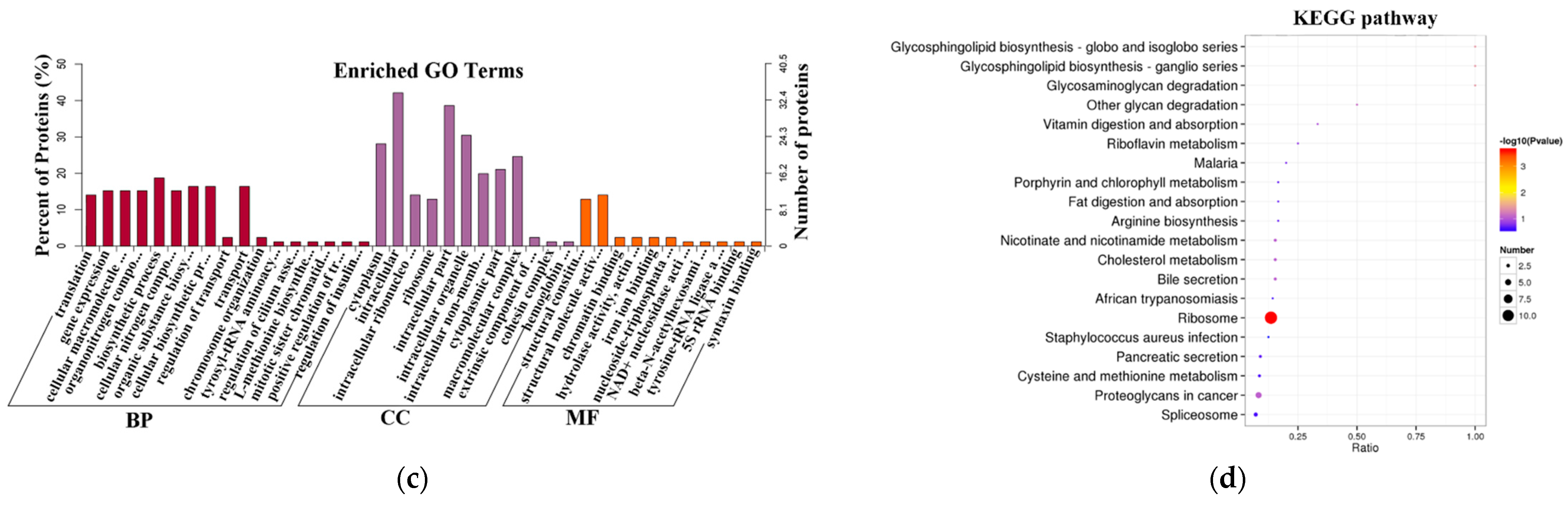 Ijms 22 04204 g005b Ijms 22 04204 g005b