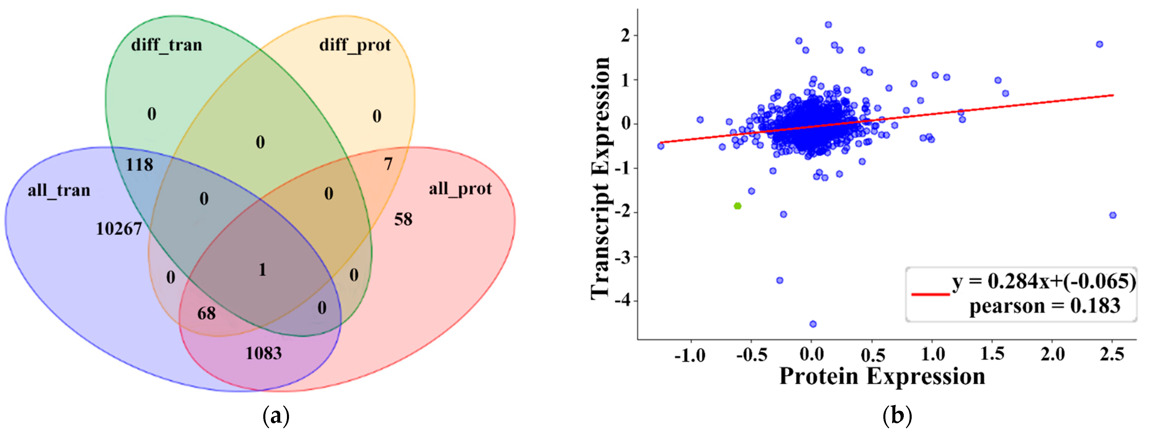 Ijms 22 04204 g006 Ijms 22 04204 g006