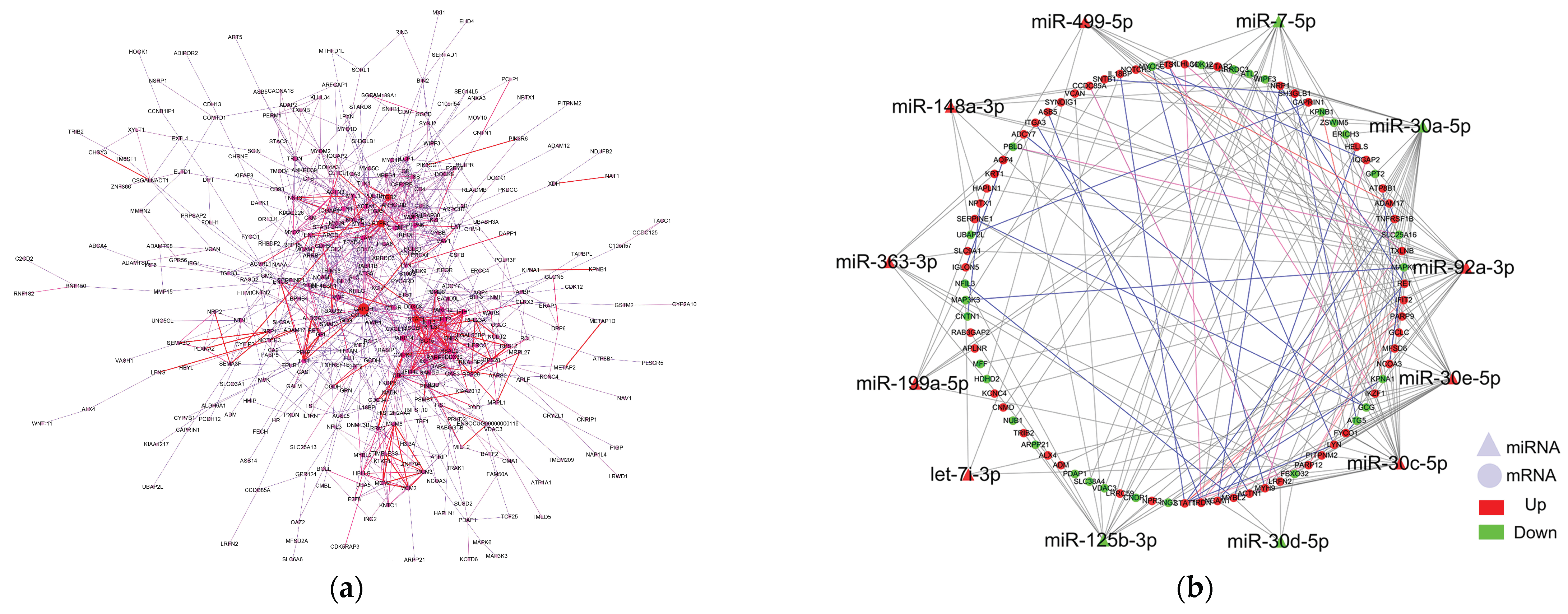 Ijms 22 04204 g007 Ijms 22 04204 g007