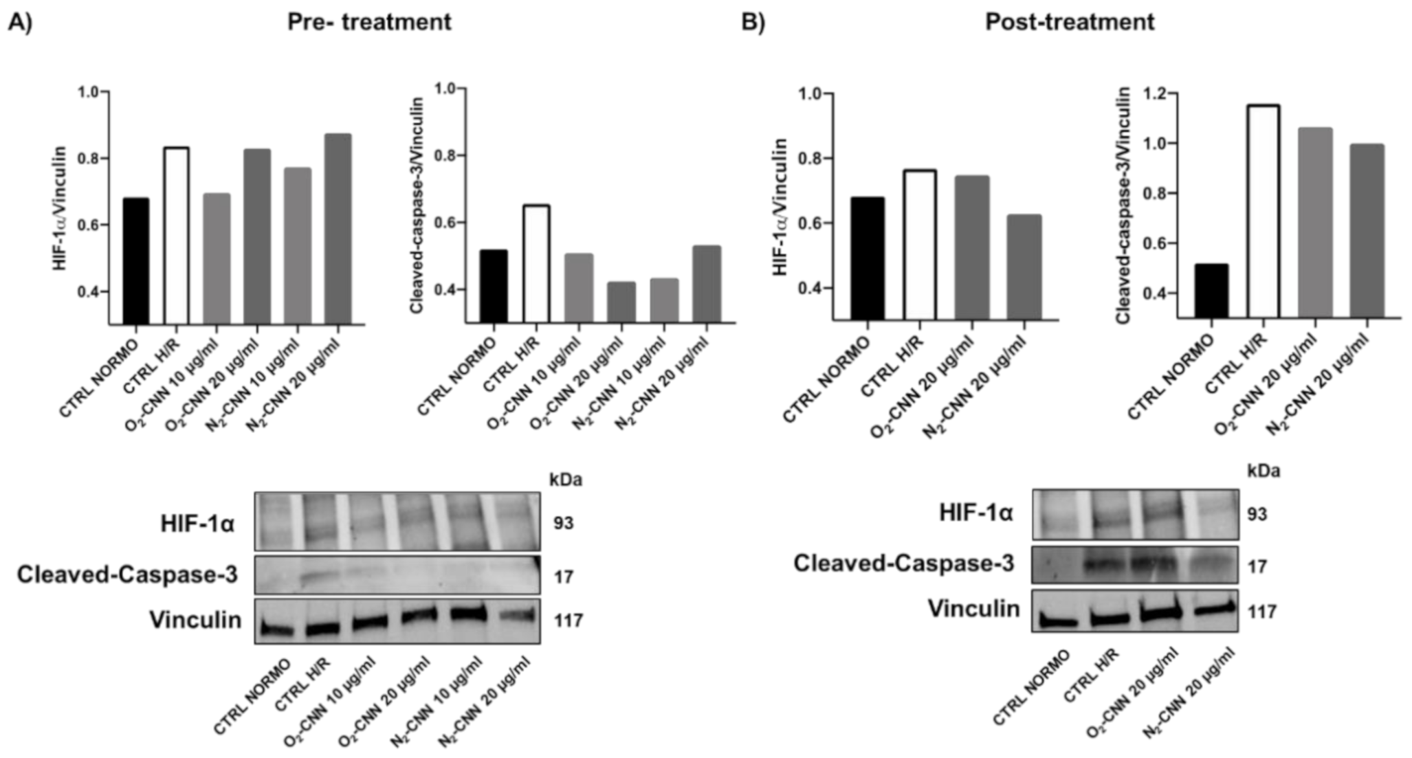 Ijms 22 04208 g008 Ijms 22 04208 g008
