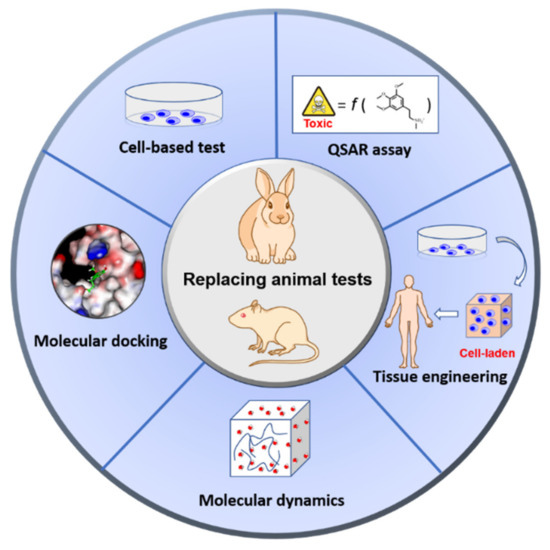 Nanotoxicity Health And Safety Strategies Springerlink