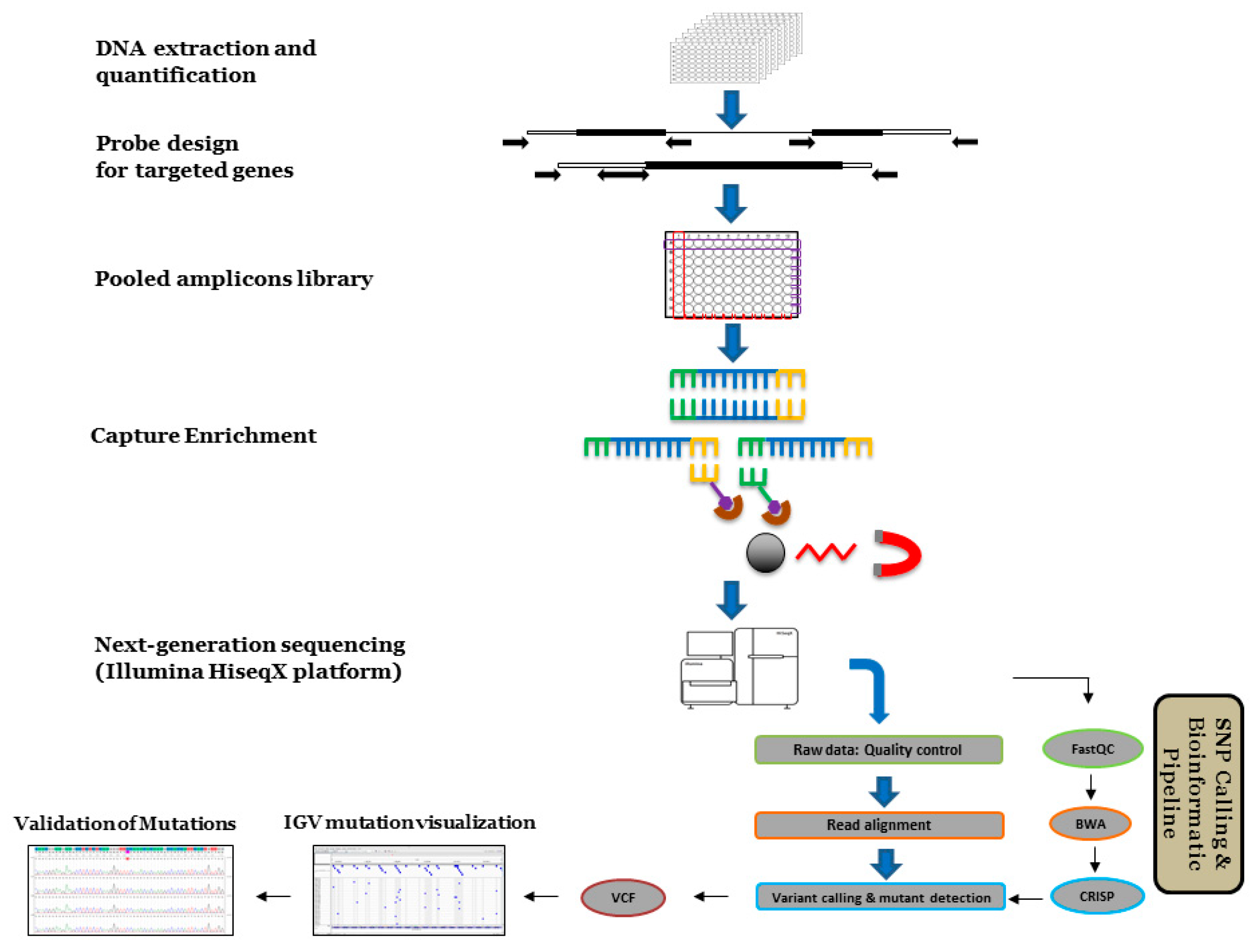 Ijms 22 04219 g001 Ijms 22 04219 g001