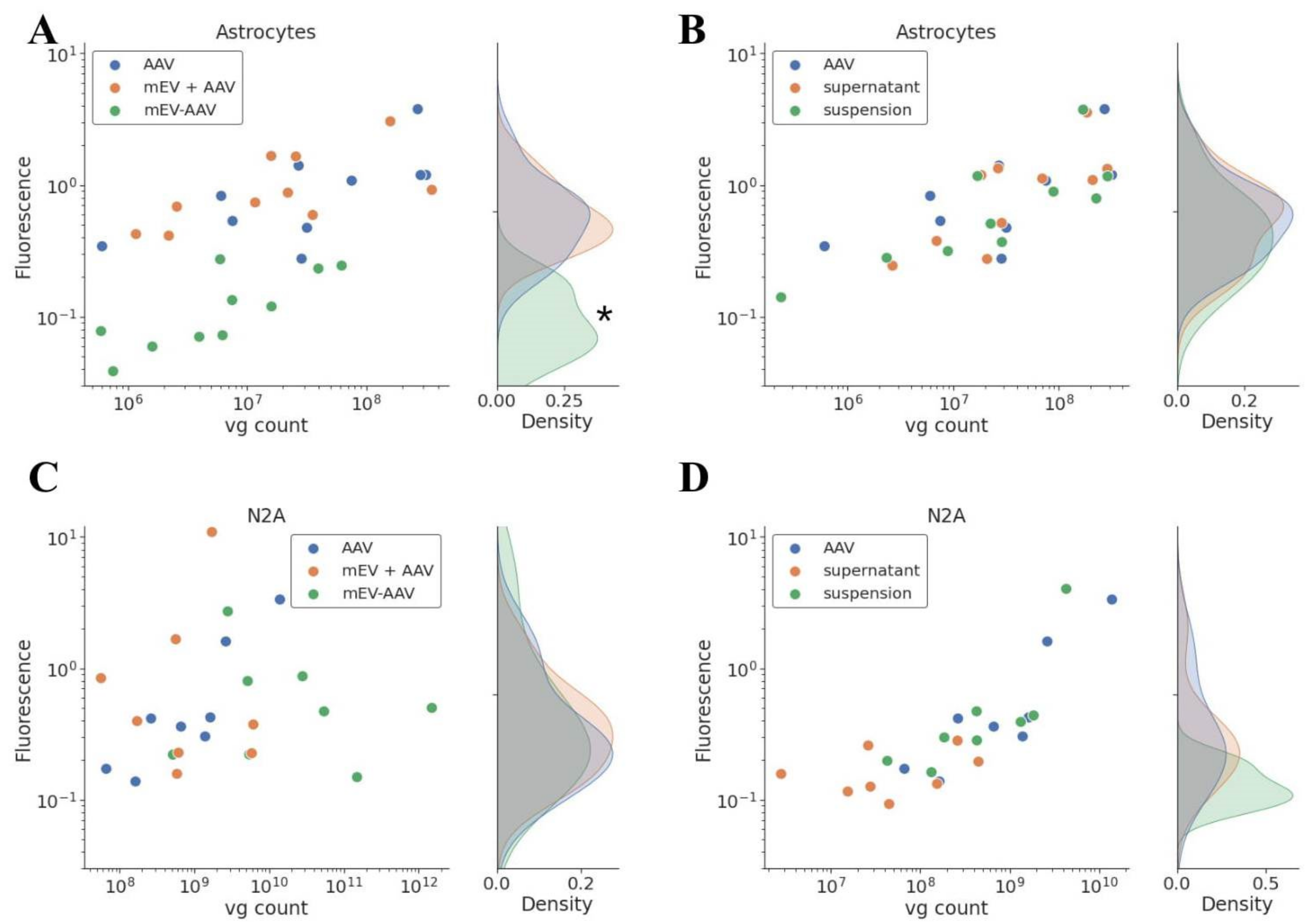 Ijms 22 04221 g003 Ijms 22 04221 g003