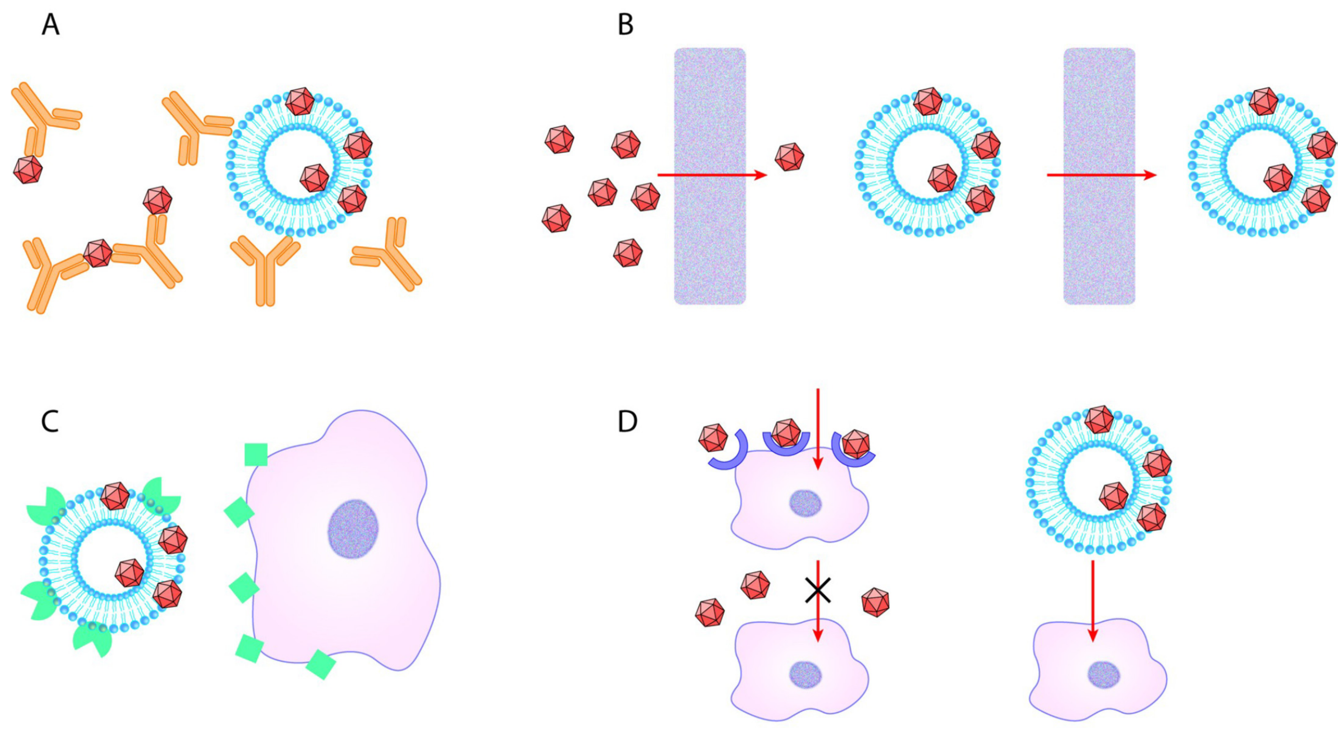 Ijms 22 04221 g004 Ijms 22 04221 g004