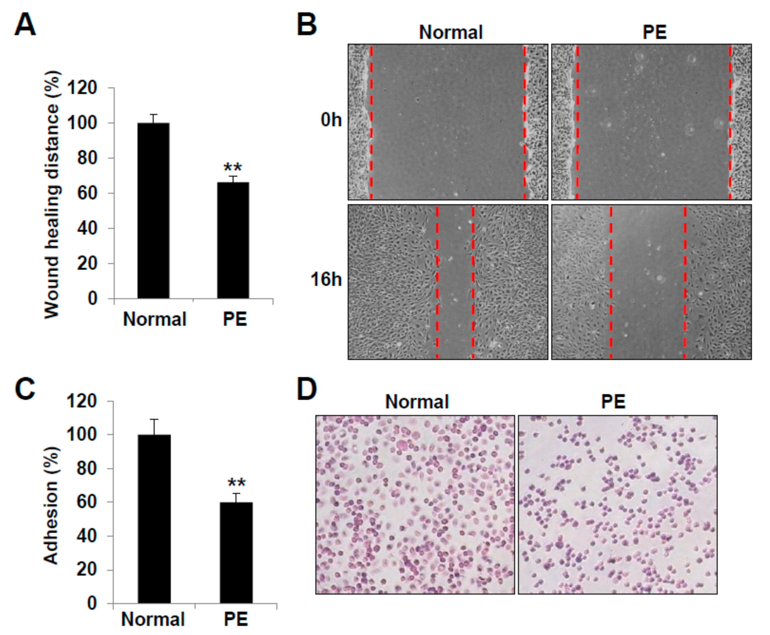 Ijms 22 04237 g004 Ijms 22 04237 g004