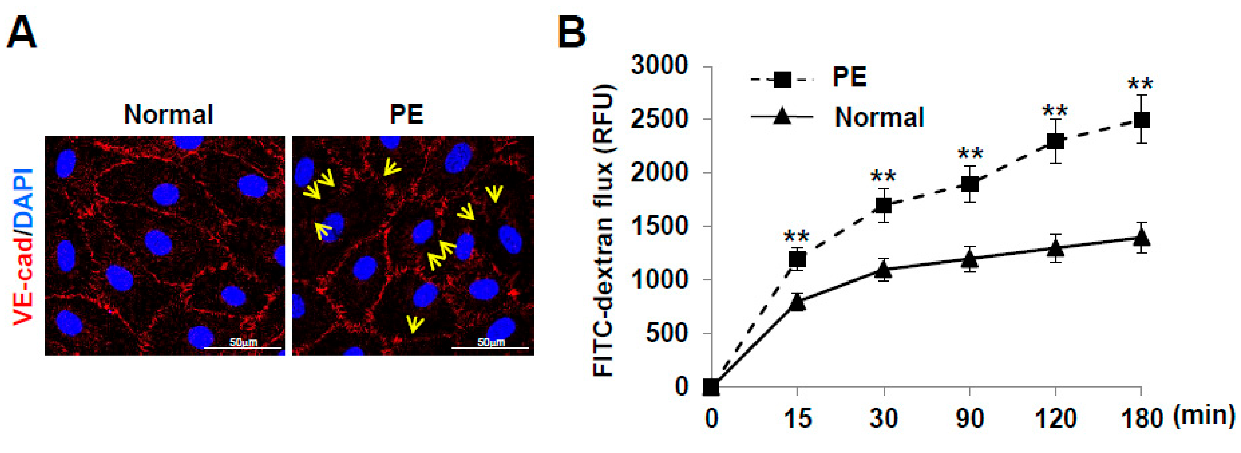 Ijms 22 04237 g006 Ijms 22 04237 g006