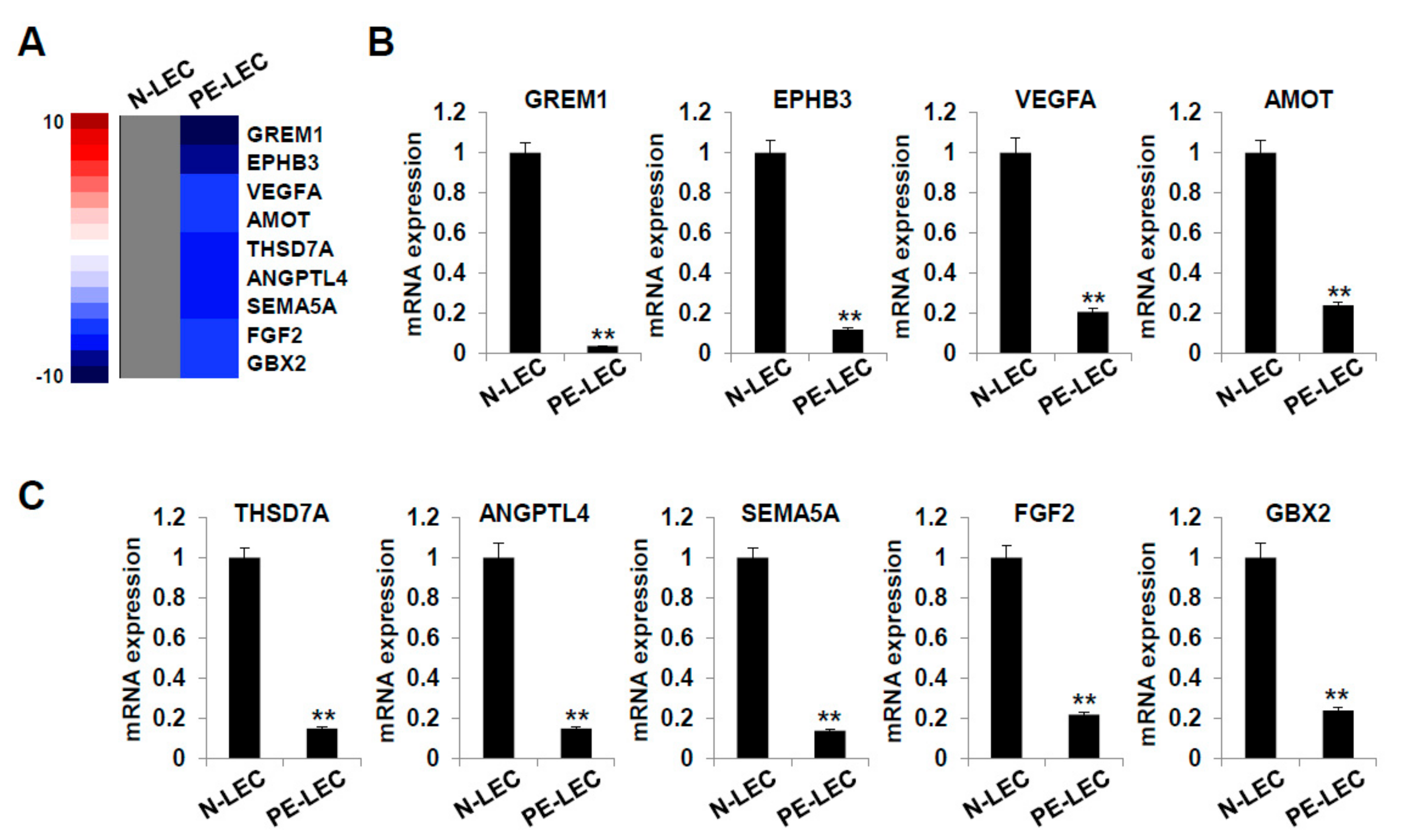Ijms 22 04237 g008 Ijms 22 04237 g008