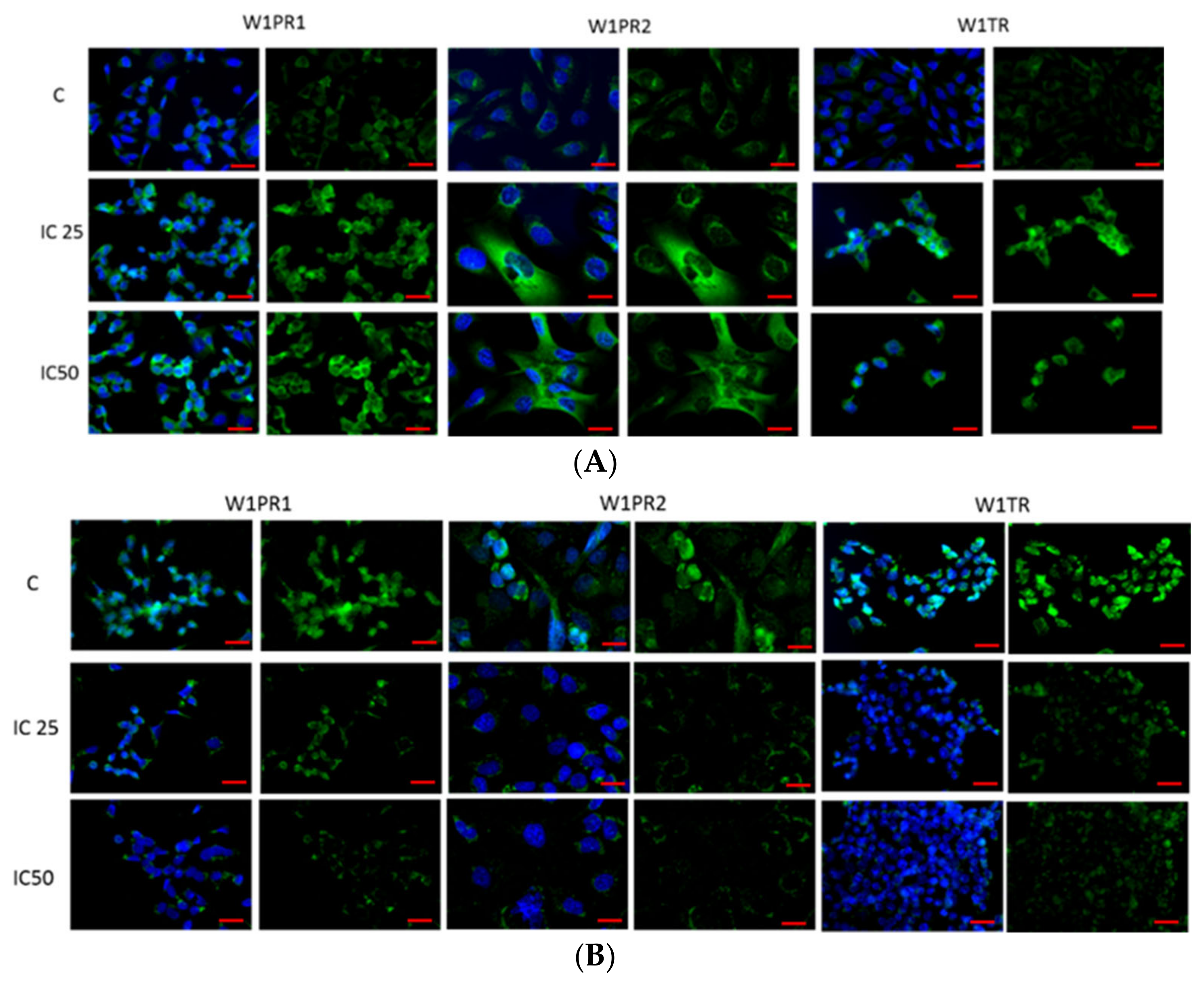 Ijms 22 04243 g003 Ijms 22 04243 g003