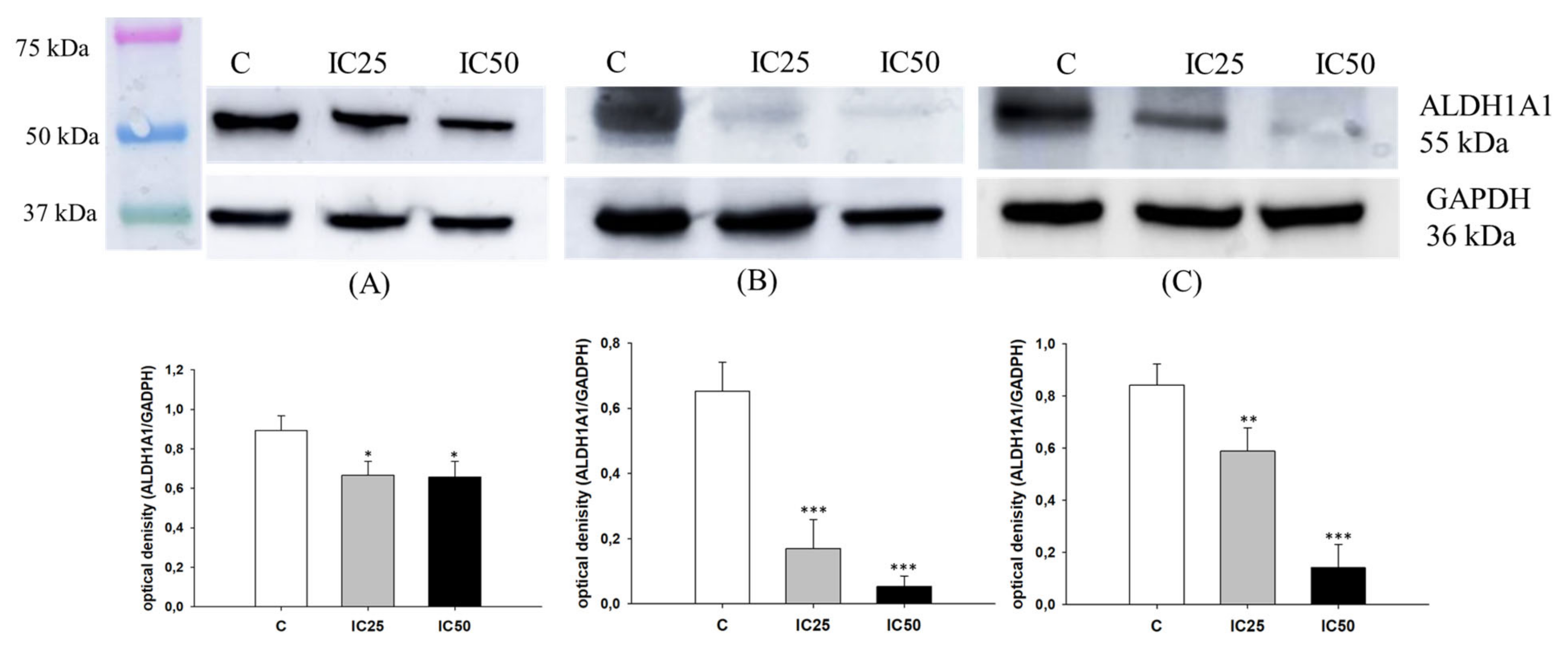 Ijms 22 04243 g005 Ijms 22 04243 g005