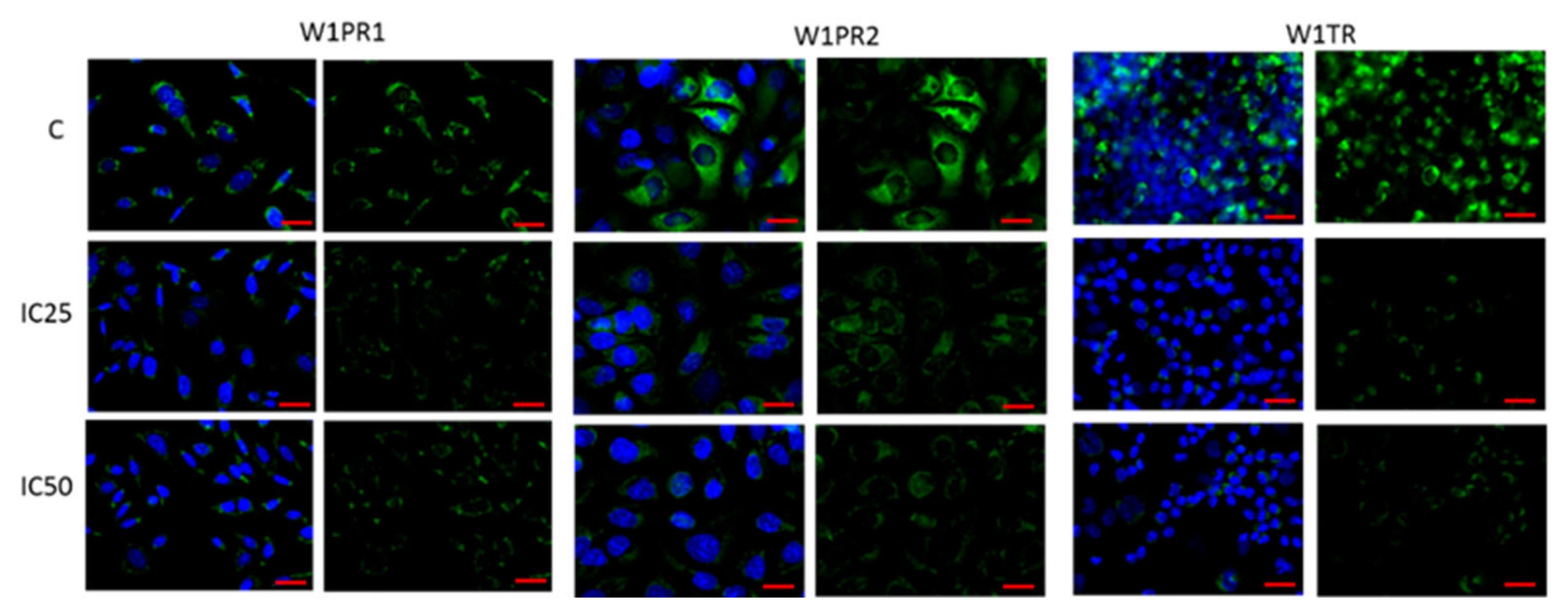 Ijms 22 04243 g008 Ijms 22 04243 g008