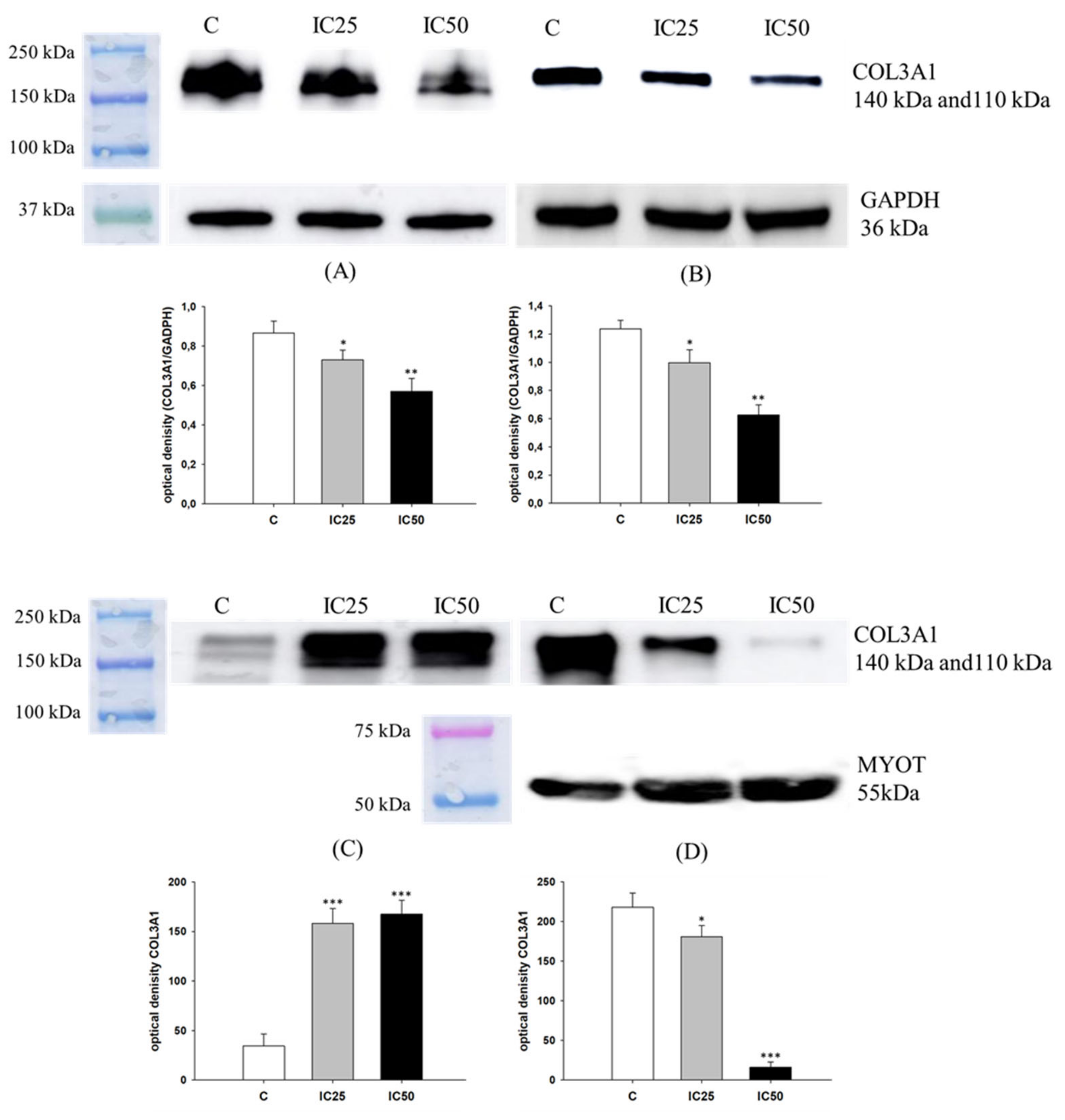 Ijms 22 04243 g009 Ijms 22 04243 g009