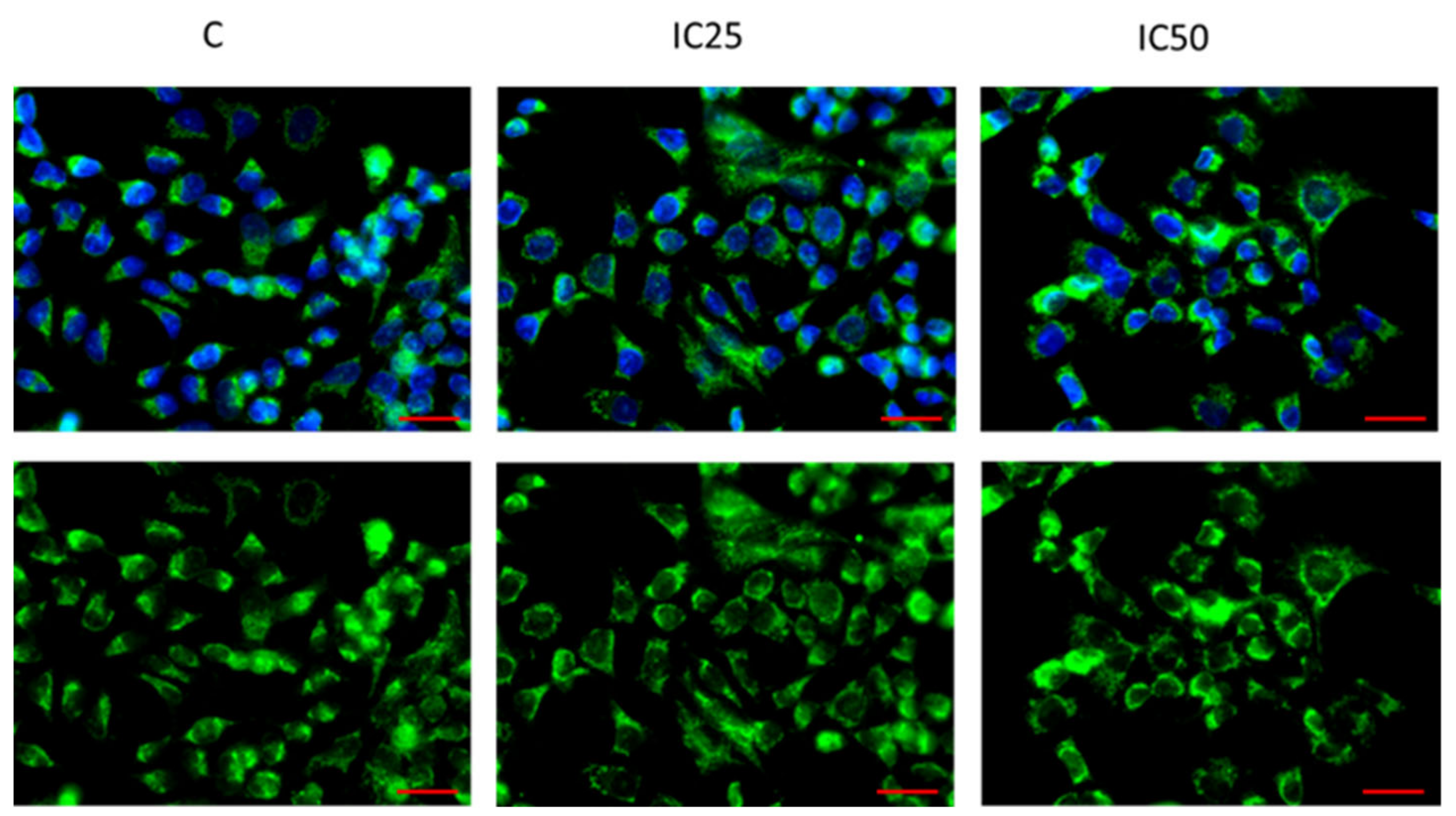 Ijms 22 04243 g010 Ijms 22 04243 g010