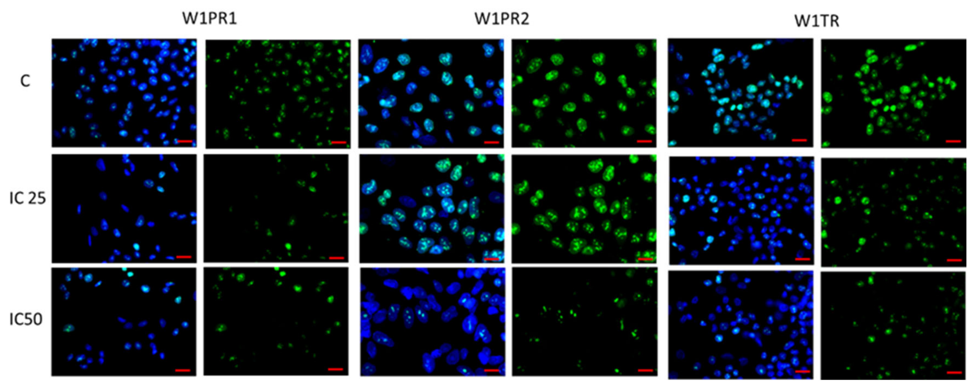 Ijms 22 04243 g012 Ijms 22 04243 g012