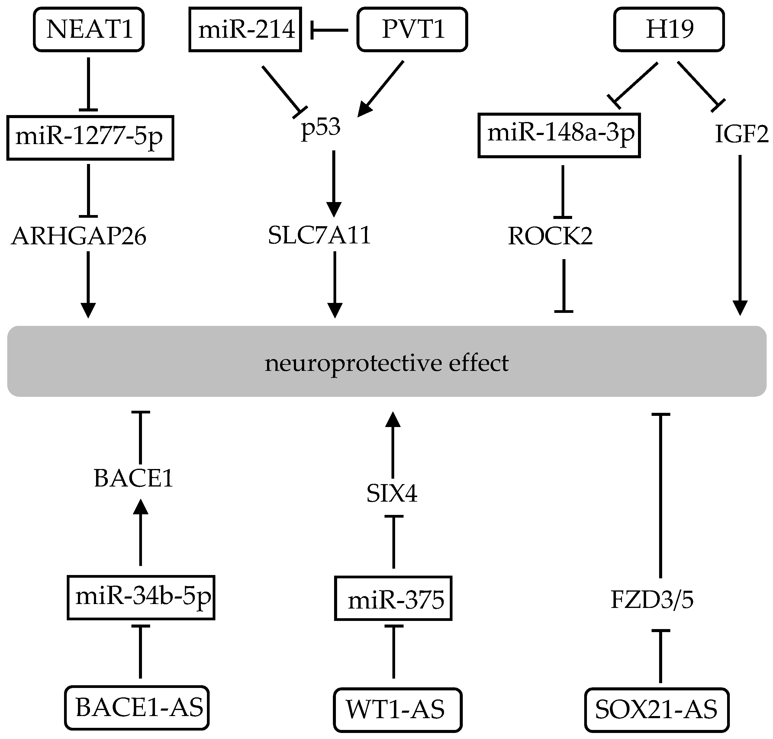 Ijms 22 04245 g003 Ijms 22 04245 g003