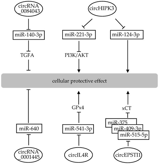 mthfr gene mutation and glutathione Glutathione and MTHFR  Methyl-Life Supplements