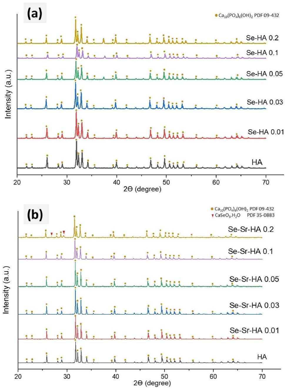 Ijms Free Full Text Synthesis Characterization Antibacterial Properties And In Vitro Studies Of Selenium And Strontium Co Substituted Hydroxyapatite Html Ijms Free Full Text Synthesis Characterization Antibacterial Properties And In Vitro Studies Of Selenium And Strontium Co Substituted Hydroxyapatite Html