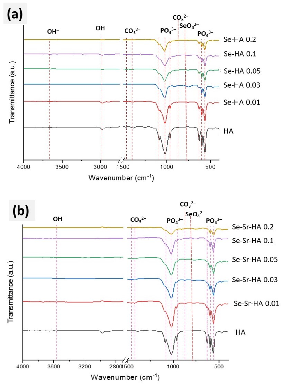 Ijms 22 04246 g002 Ijms 22 04246 g002