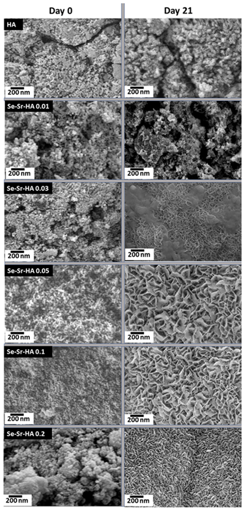 Ijms 22 04246 g006 Ijms 22 04246 g006