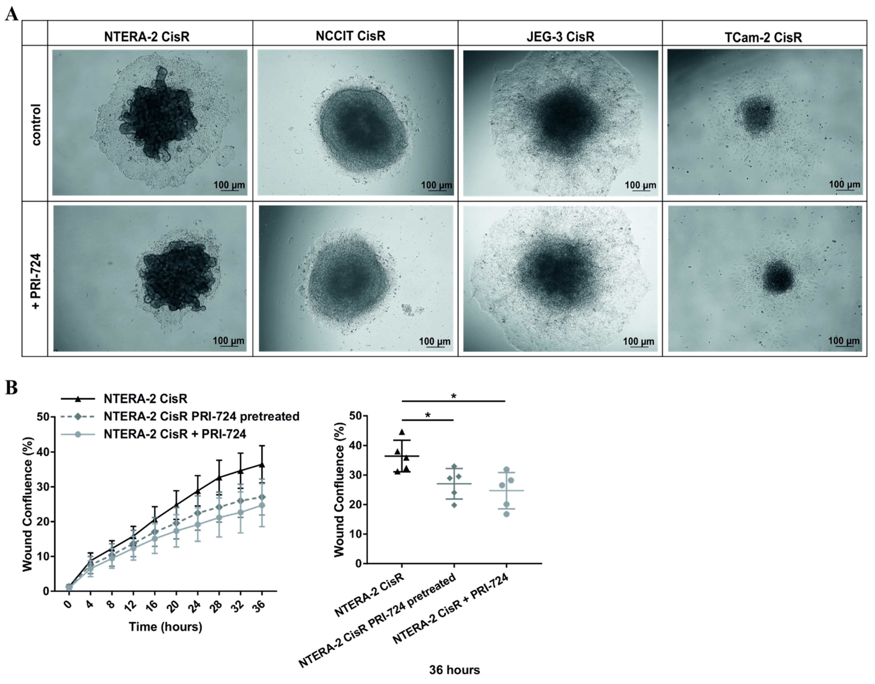 Ijms 22 04263 g007 Ijms 22 04263 g007