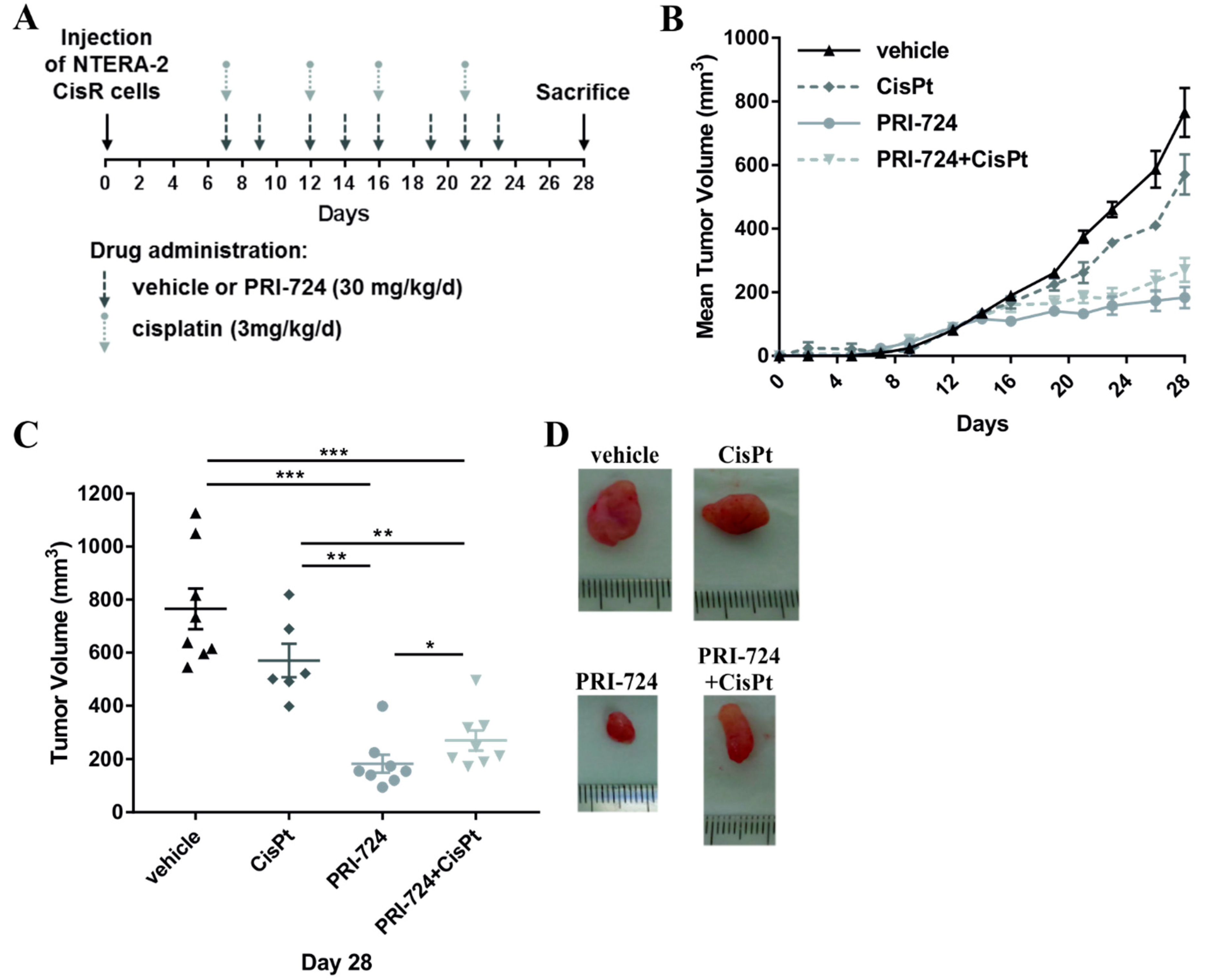 Ijms 22 04263 g010 Ijms 22 04263 g010