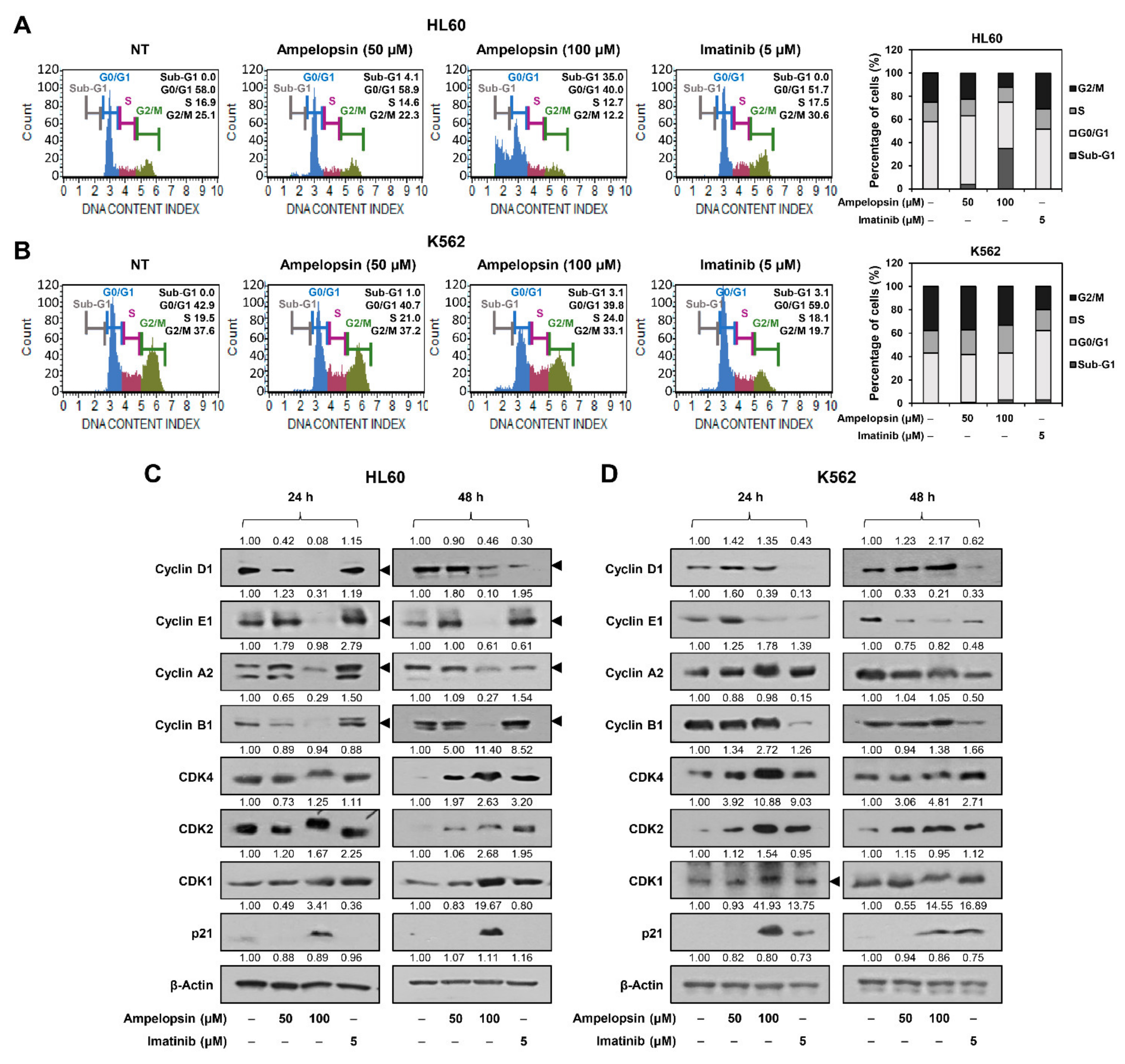 Ijms 22 04265 g002 Ijms 22 04265 g002