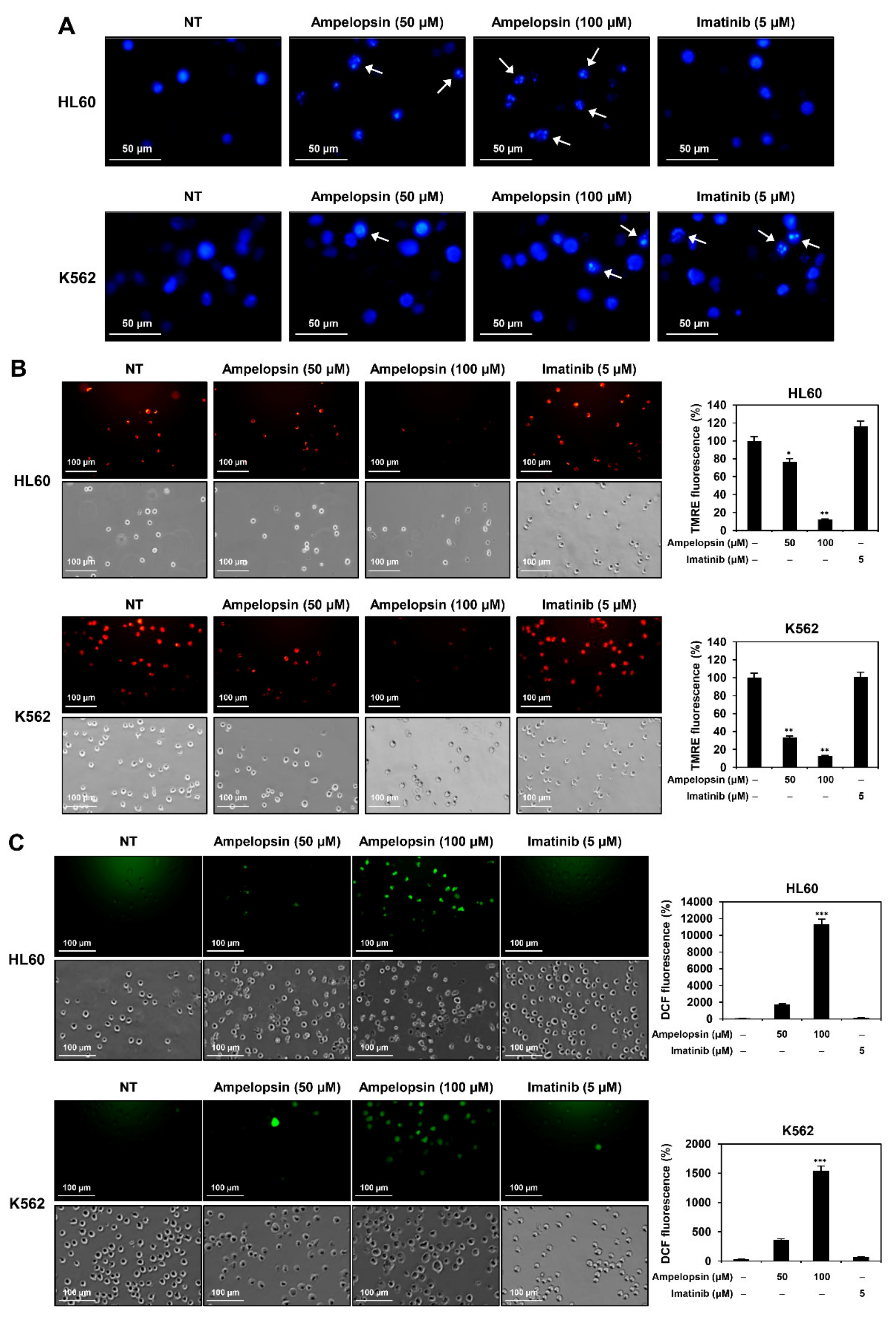 Ijms 22 04265 g004a Ijms 22 04265 g004a