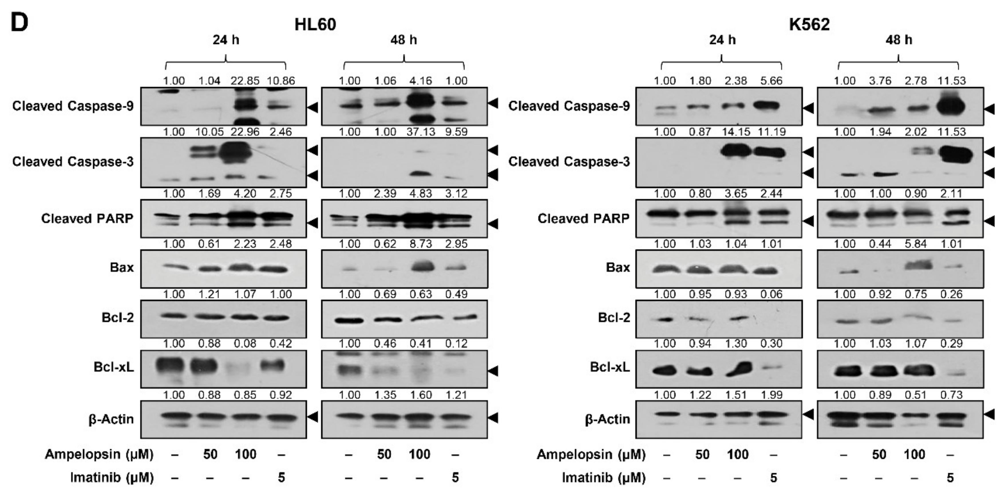 Ijms 22 04265 g004b Ijms 22 04265 g004b