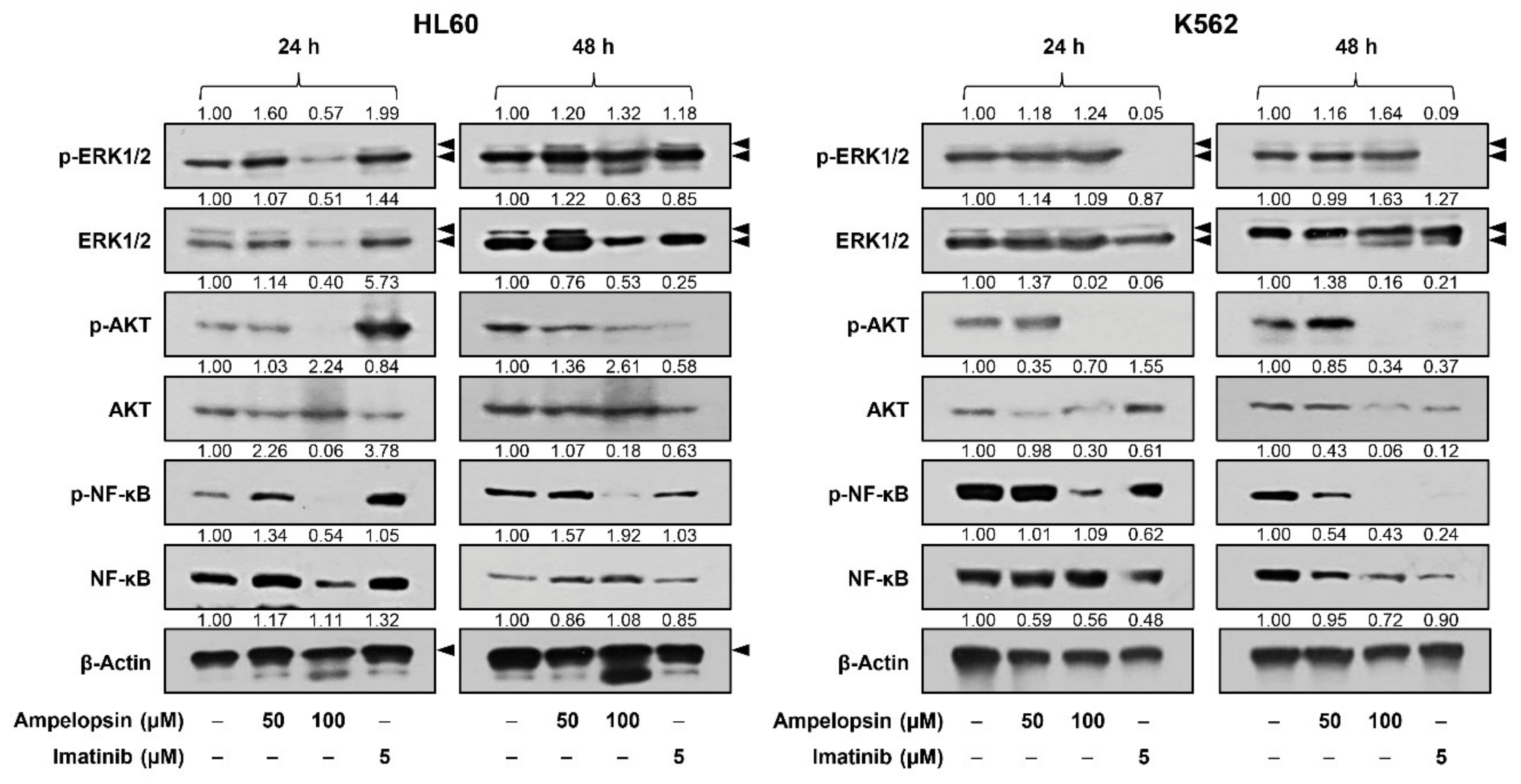 Ijms 22 04265 g005 Ijms 22 04265 g005