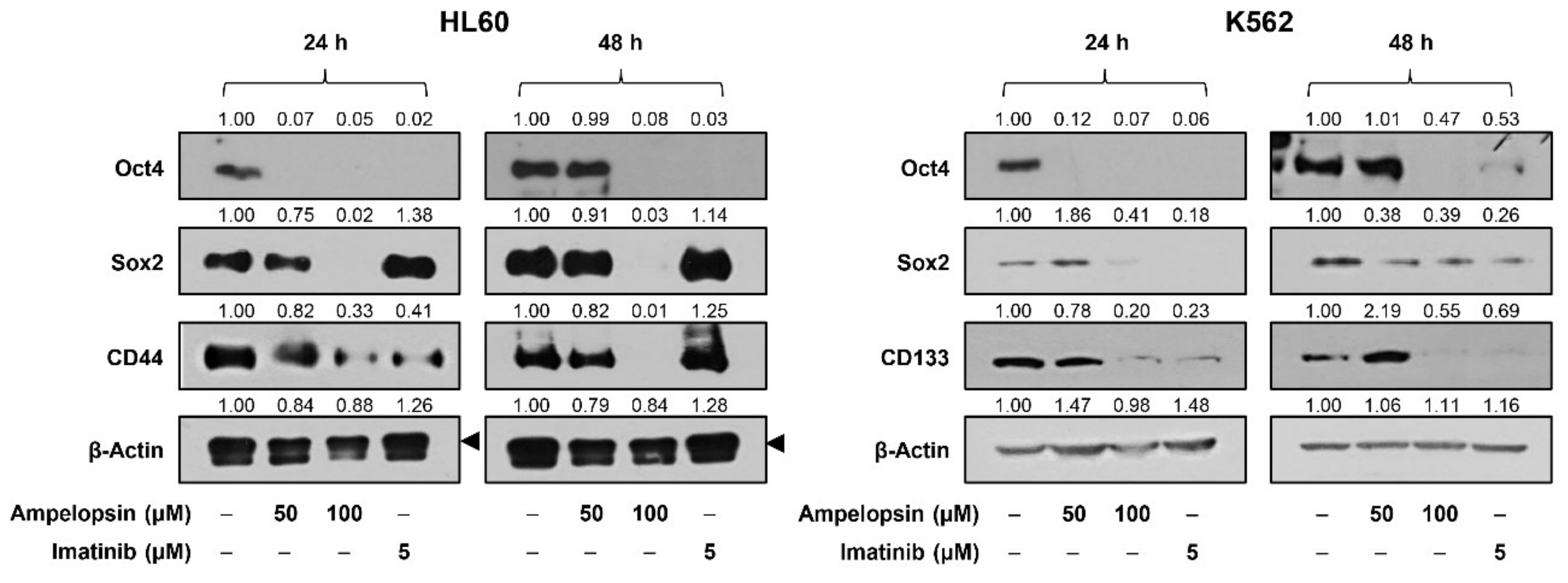 Ijms 22 04265 g006 Ijms 22 04265 g006