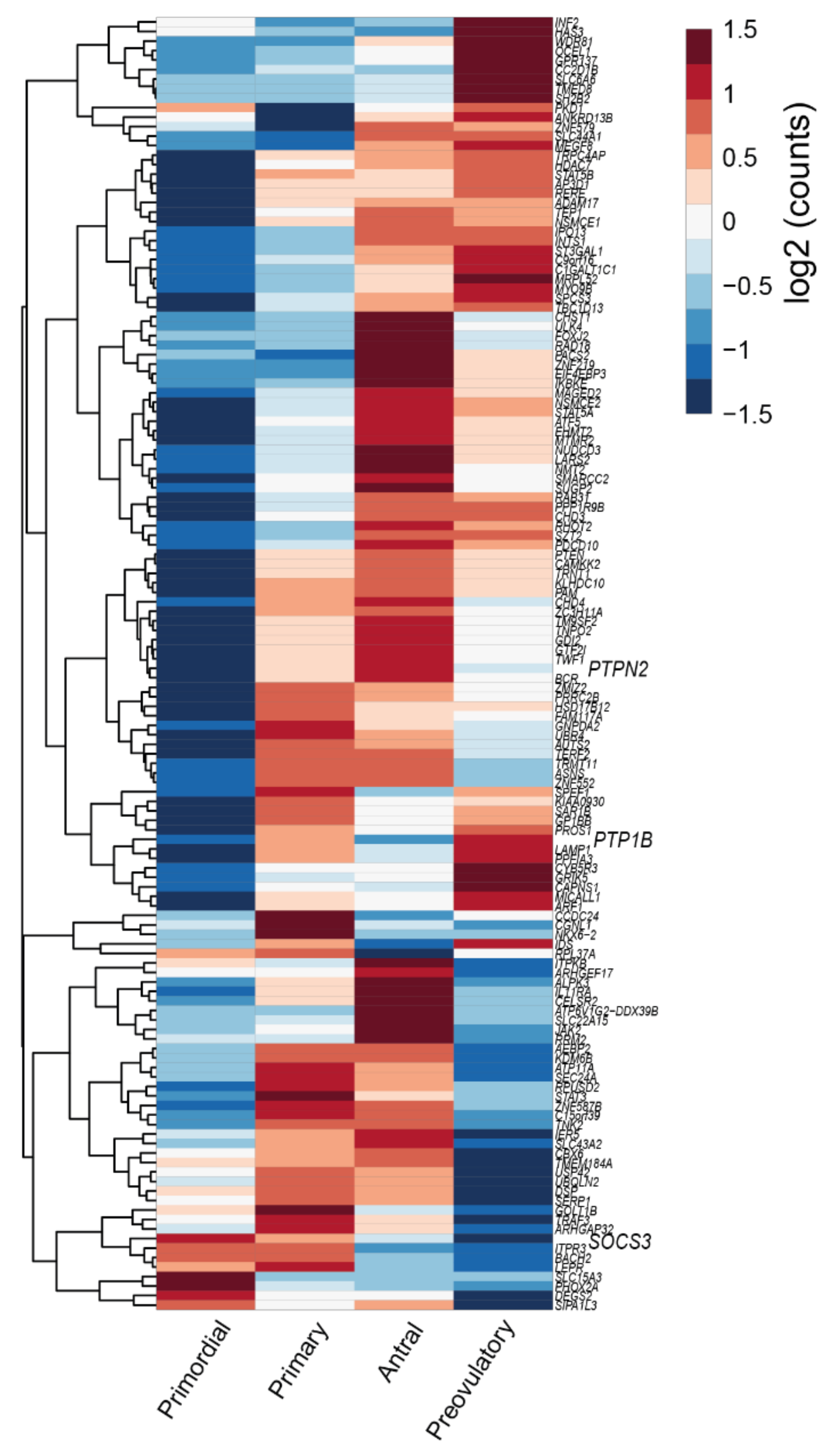 Ijms 22 04270 g005 Ijms 22 04270 g005