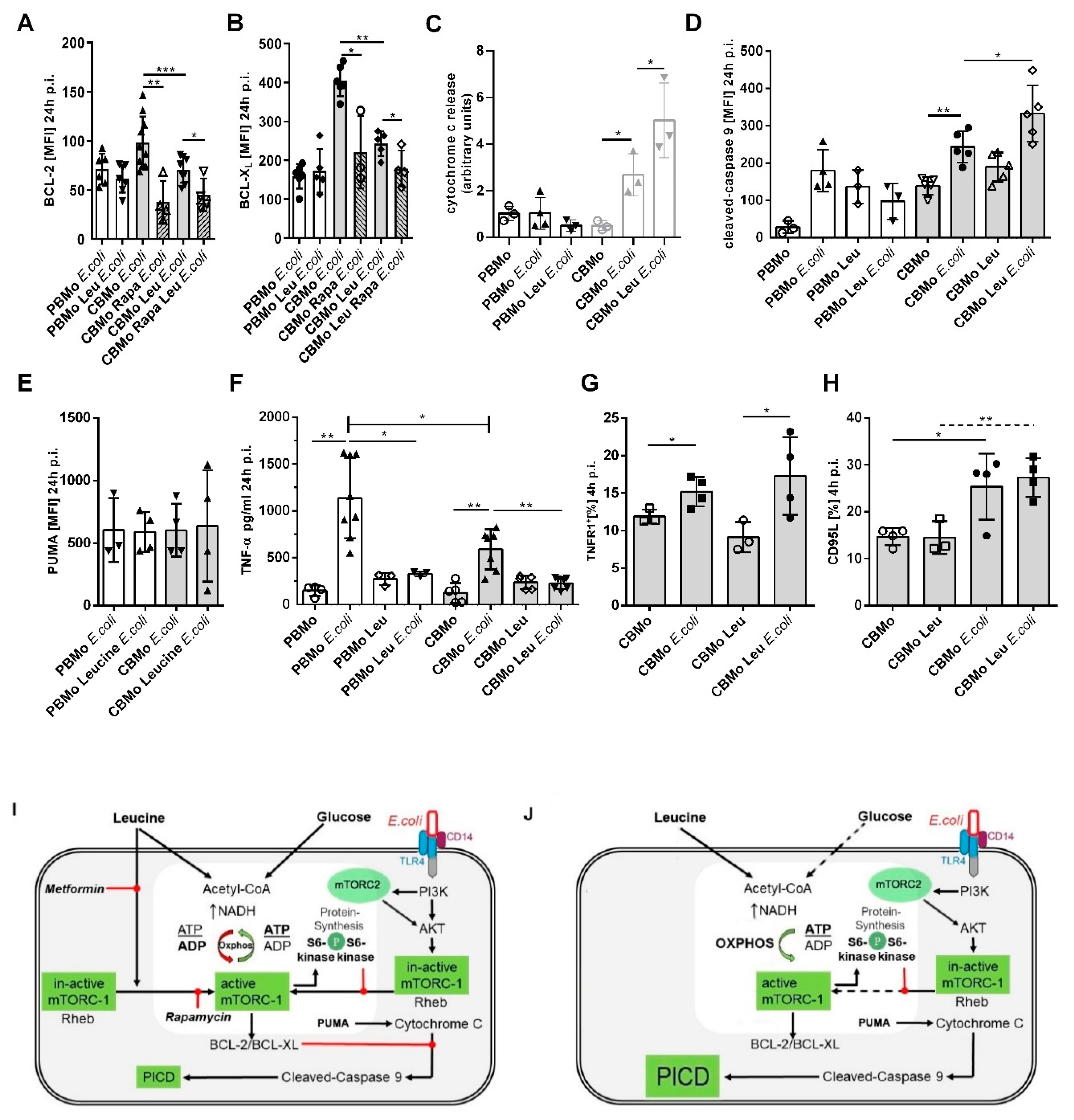 Ijms 22 04271 g005 Ijms 22 04271 g005