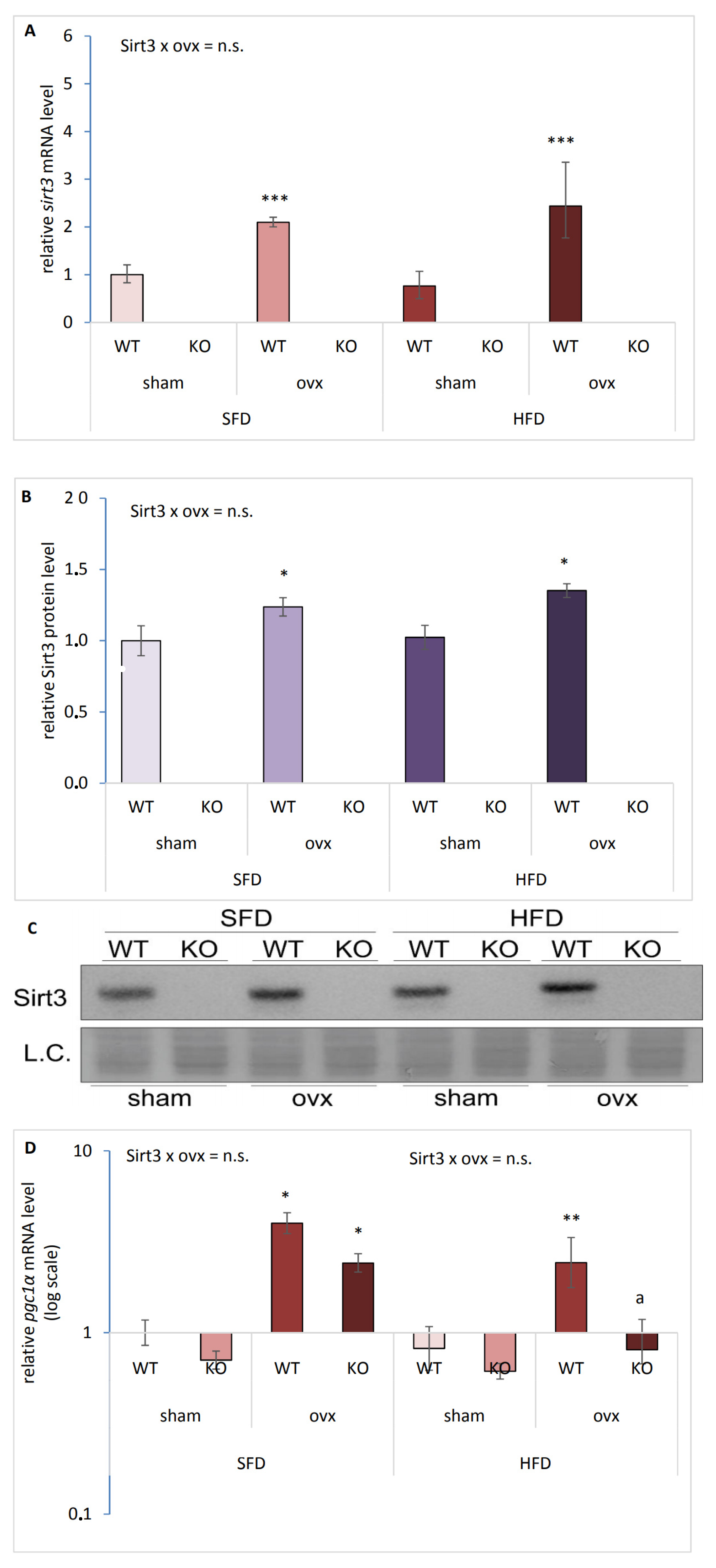 Ijms 22 04277 g001 Ijms 22 04277 g001
